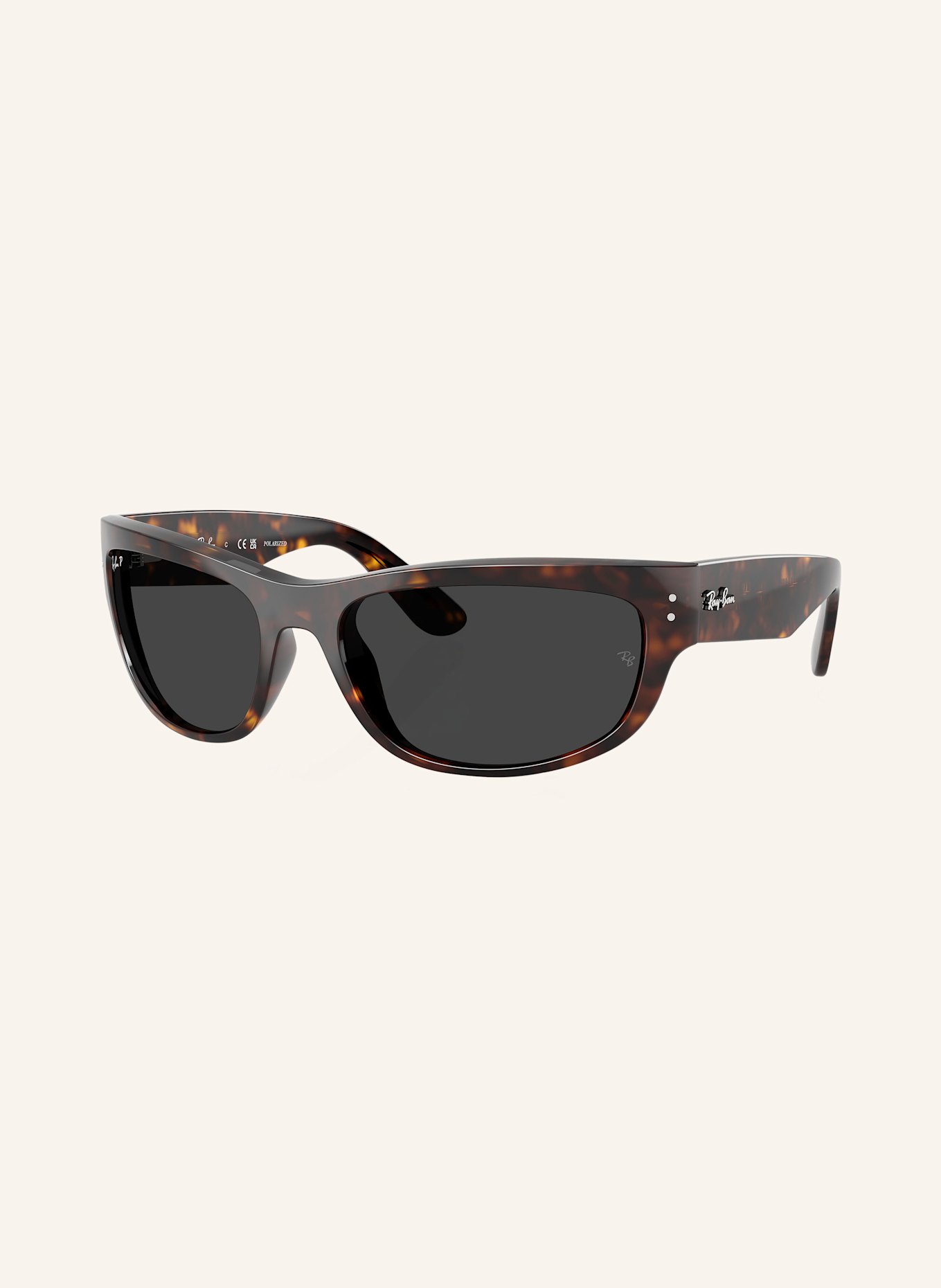 Ray Ban Sunglasses RB2289 MEGA BALORAMA in 902 48 havana black polarized