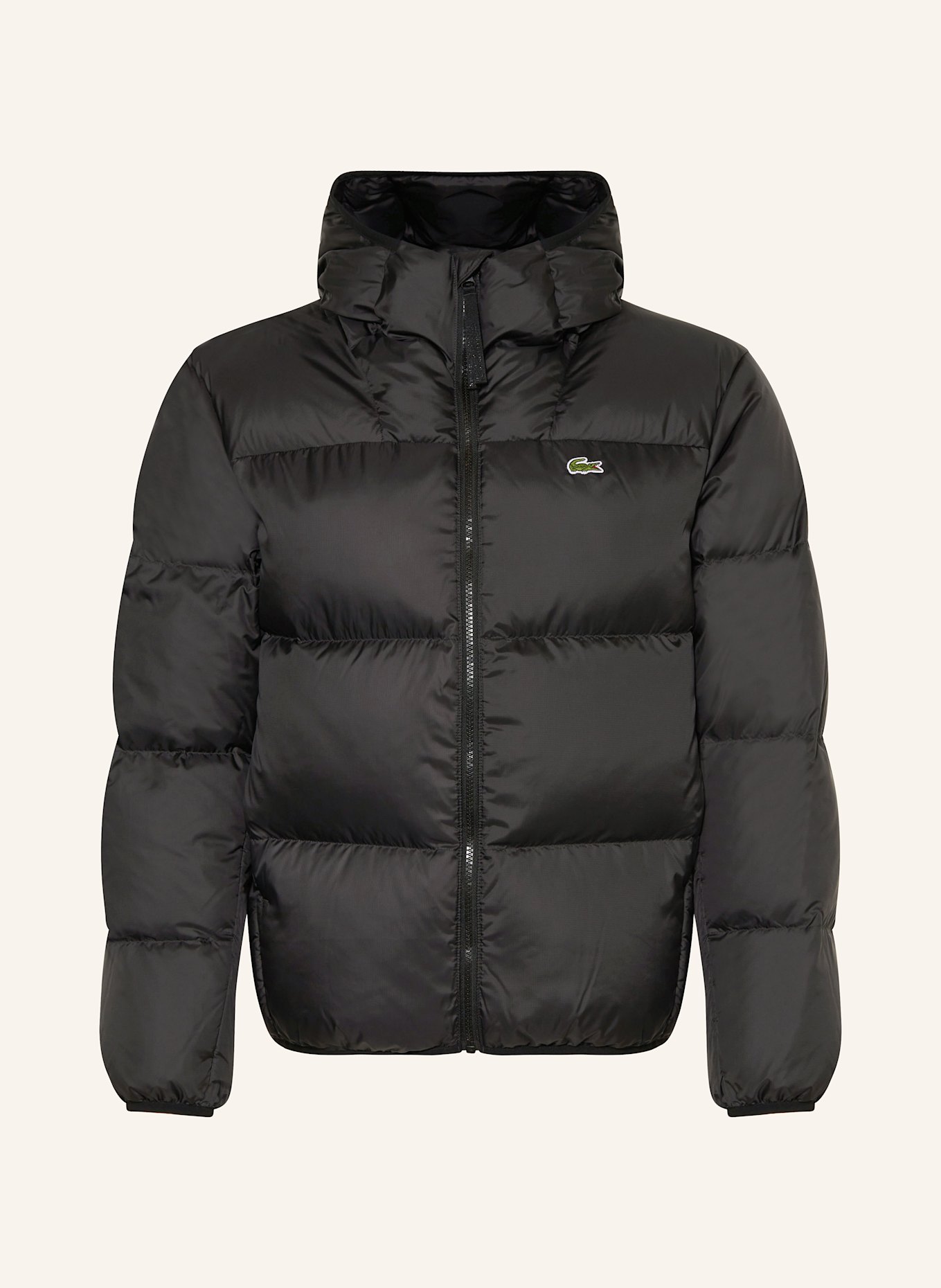 LACOSTE Daunenjacke: SCHWARZ