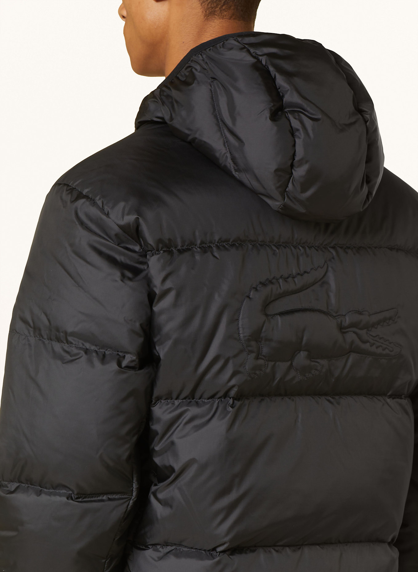 LACOSTE Daunenjacke: SCHWARZ