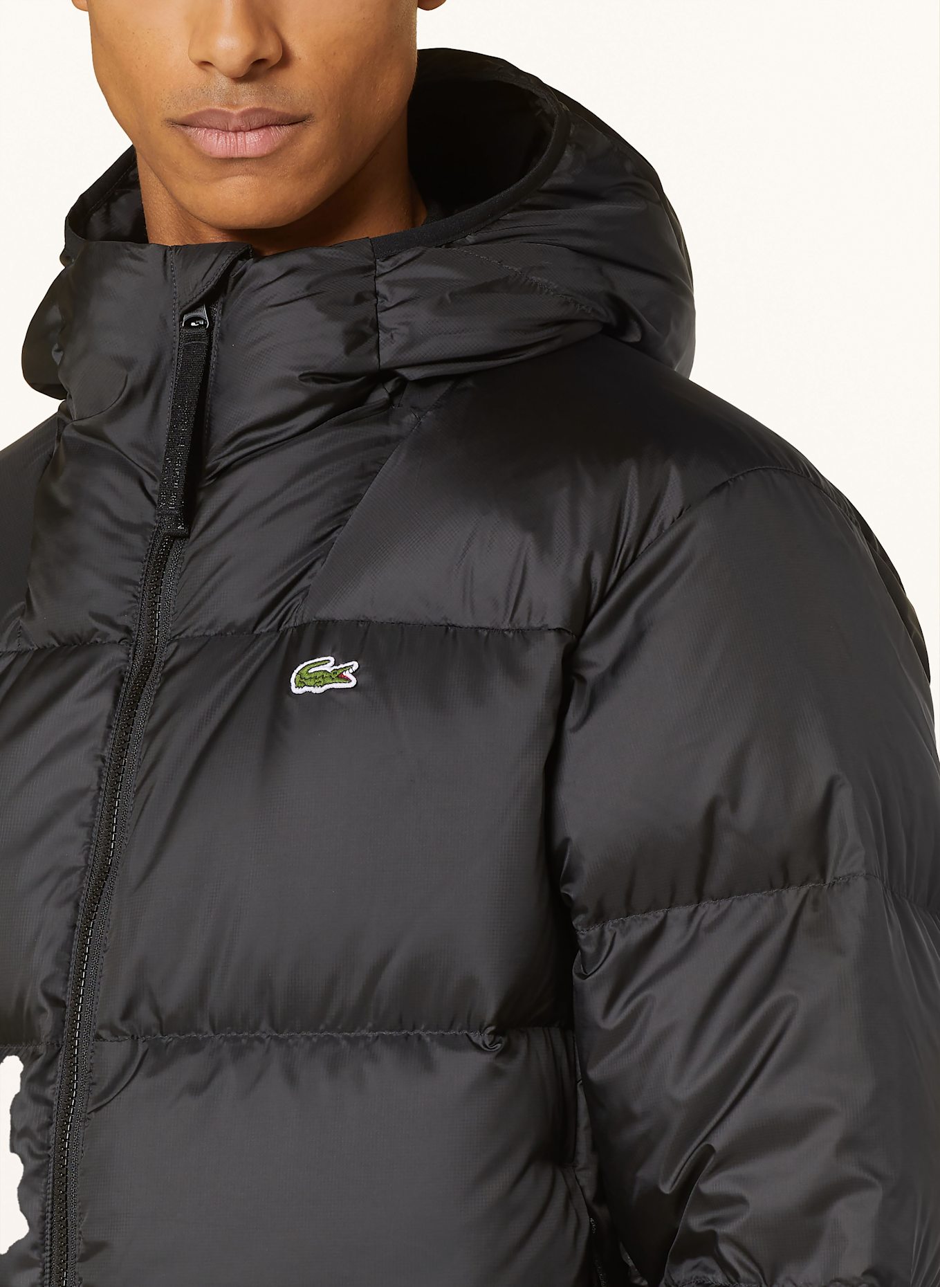 LACOSTE Daunenjacke: SCHWARZ
