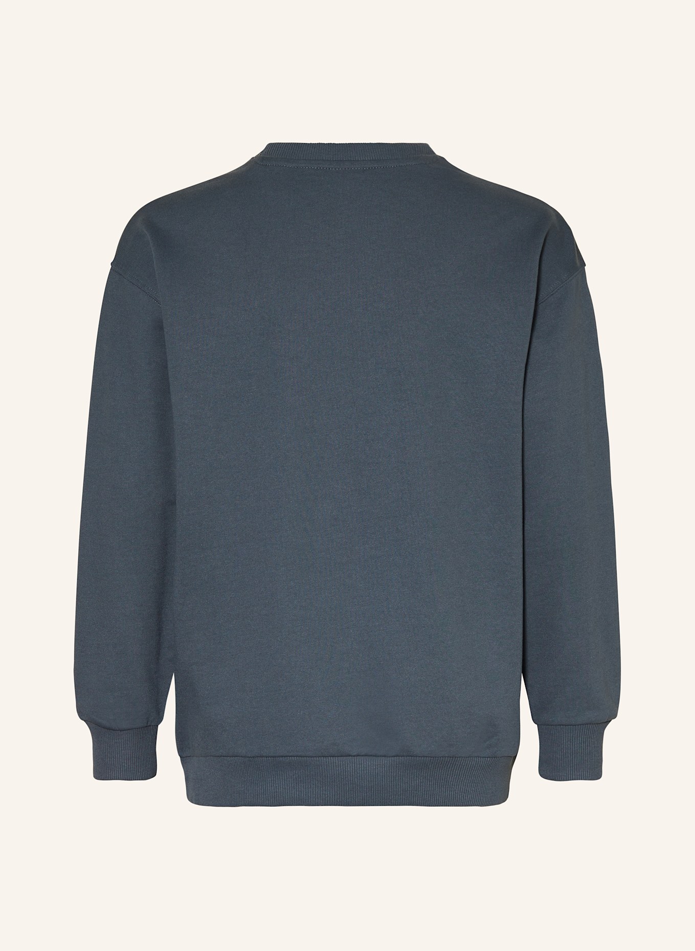 s.Oliver RED Sweatshirt: BLAUGRAU