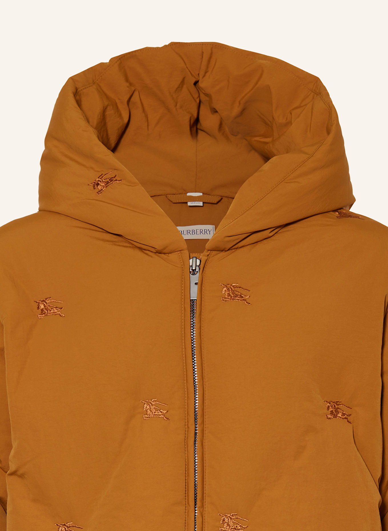 BURBERRY Daunenmantel: DUNKELORANGE