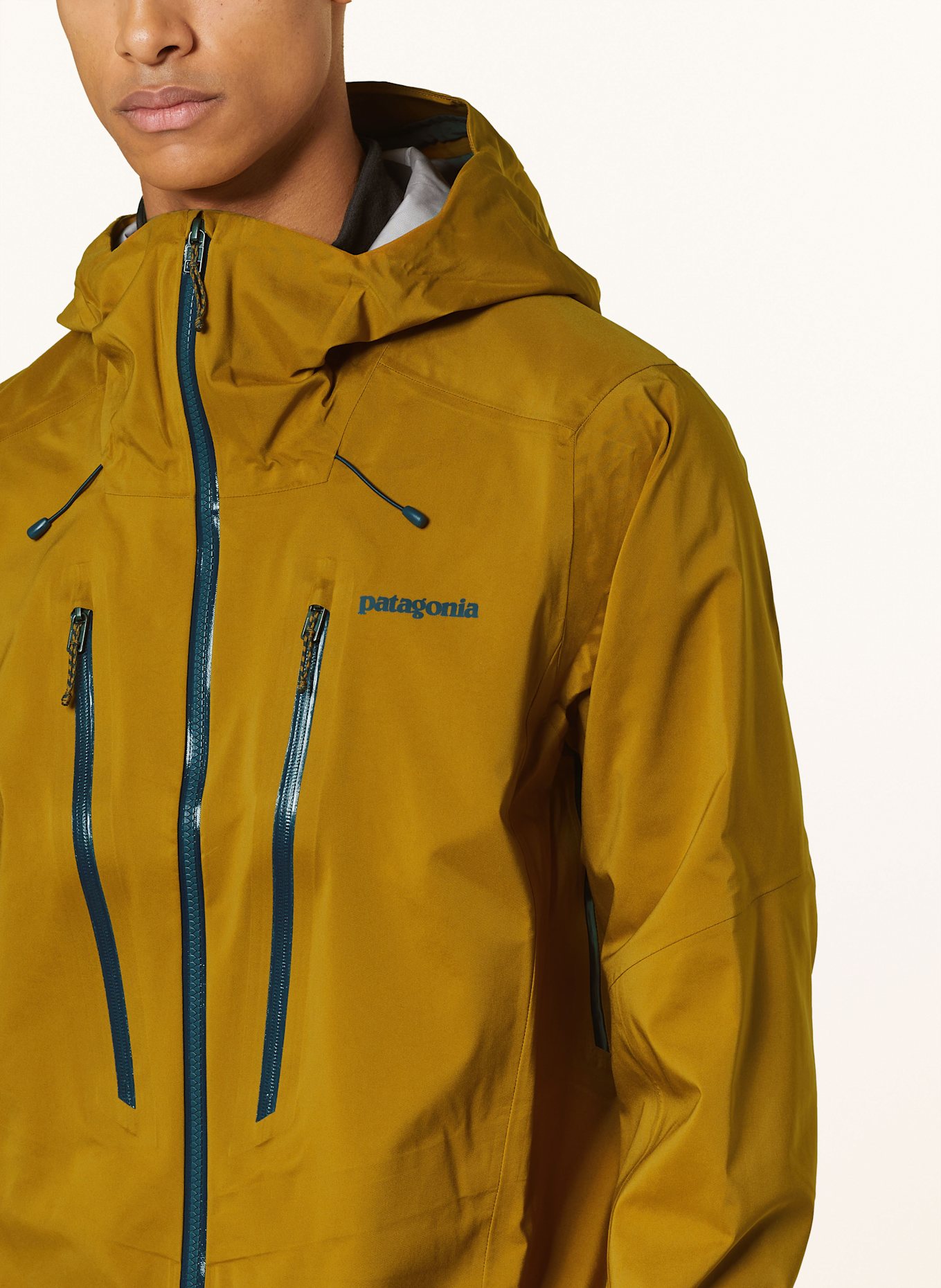 Patagonia ski jacket hotsell