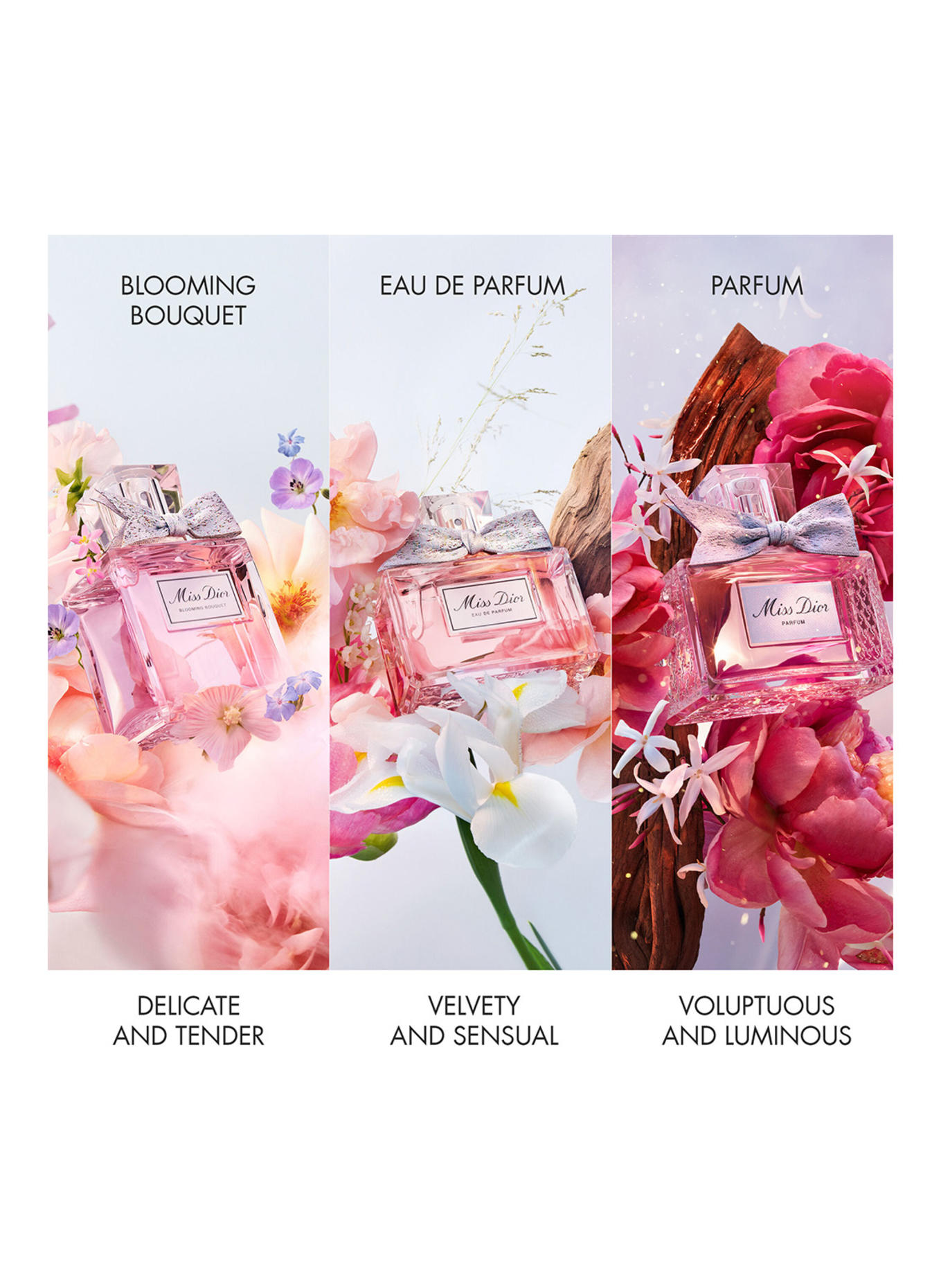 DIOR MISS DIOR BLOOMING BOUQUET LIMITIERTE EDITION Eau de Toilette