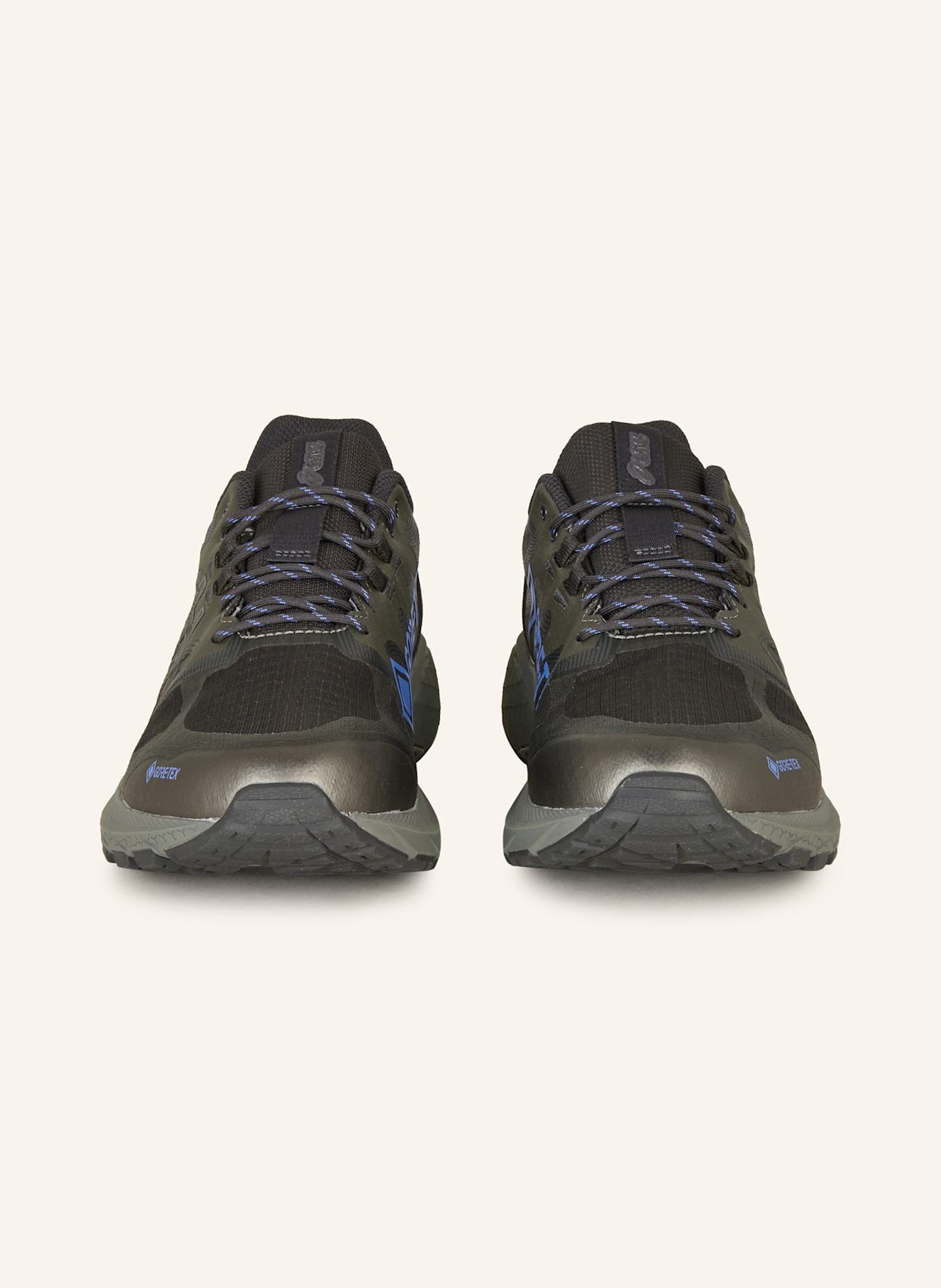 ASICS Sneaker GEL-TERRAIN GTX: DUNKELGRAU/ GRAU