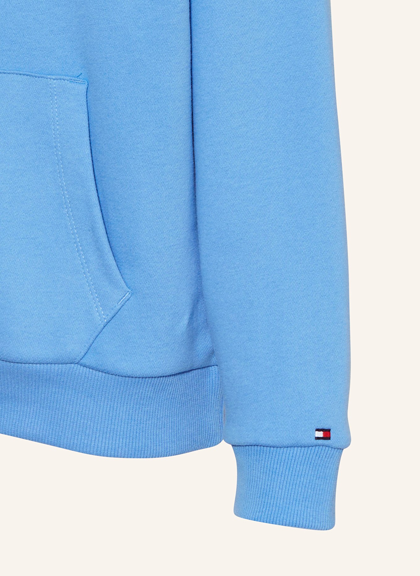 Baby blue tommy hilfiger hoodie discount