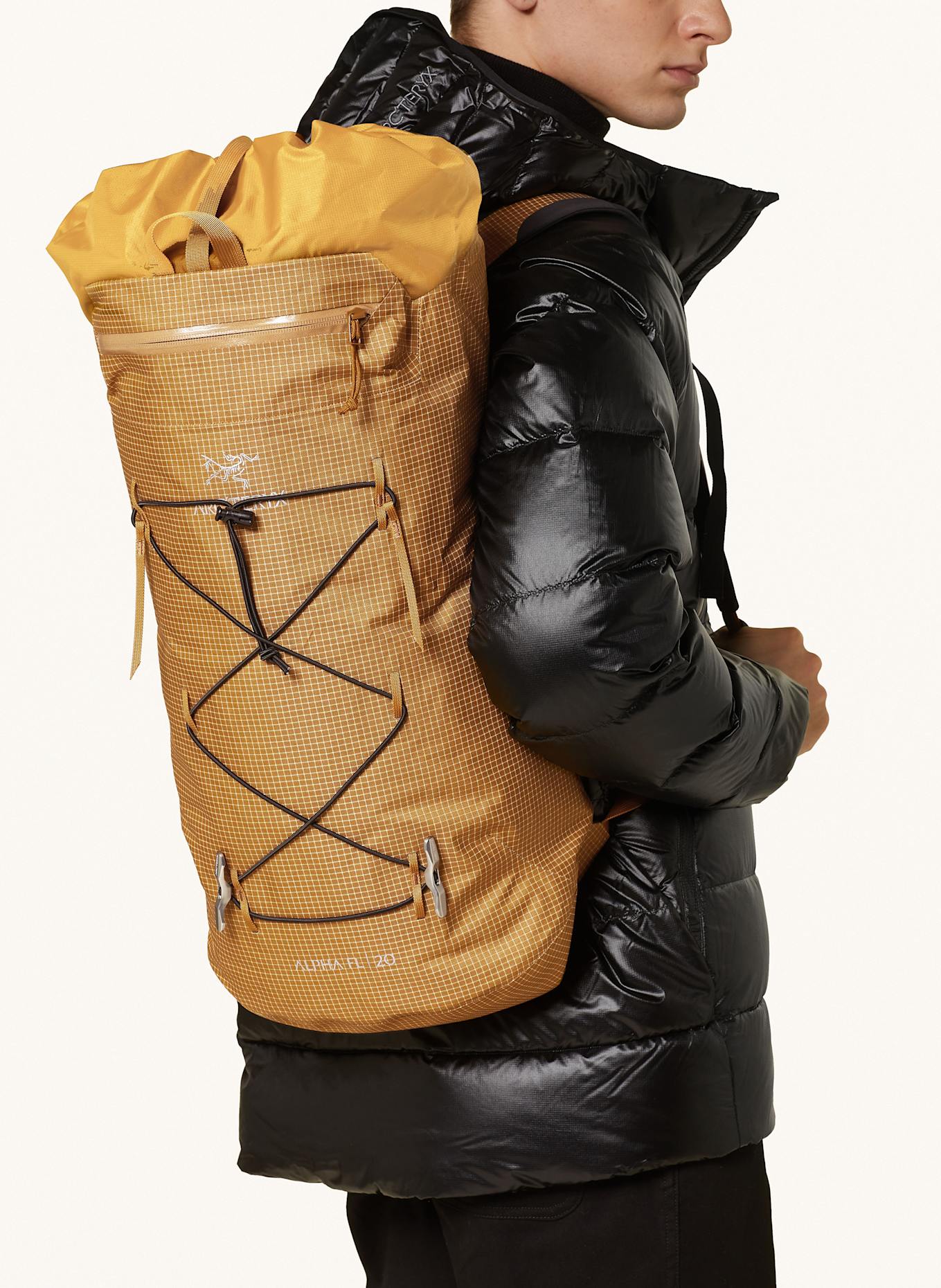 Alpha ar 20 backpack store
