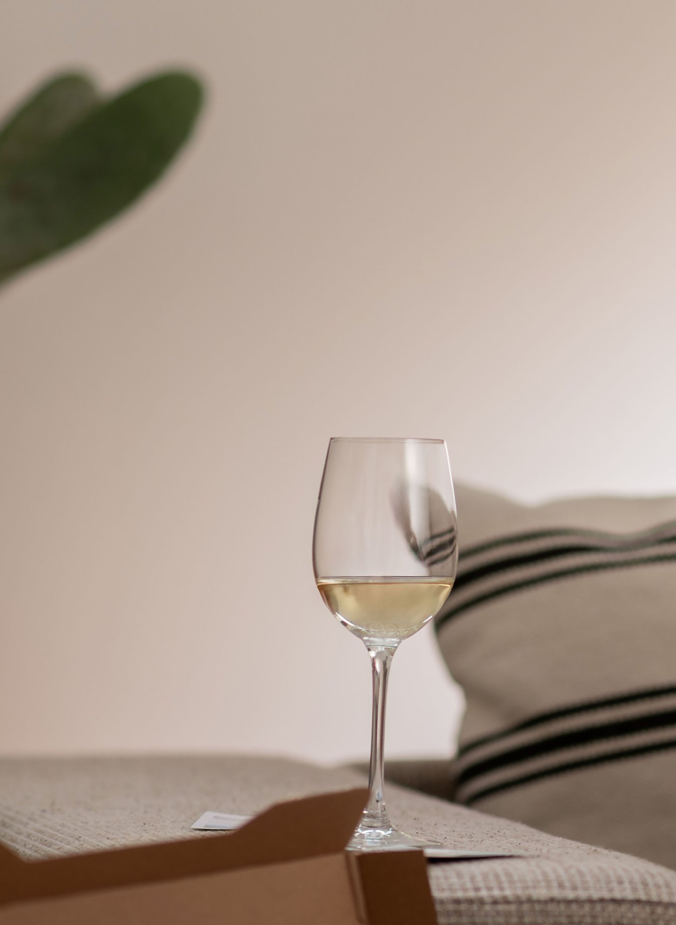 SCHOTT ZWIESEL Kieliszki do wina CLASSICO, 6 szt.: BIAŁY