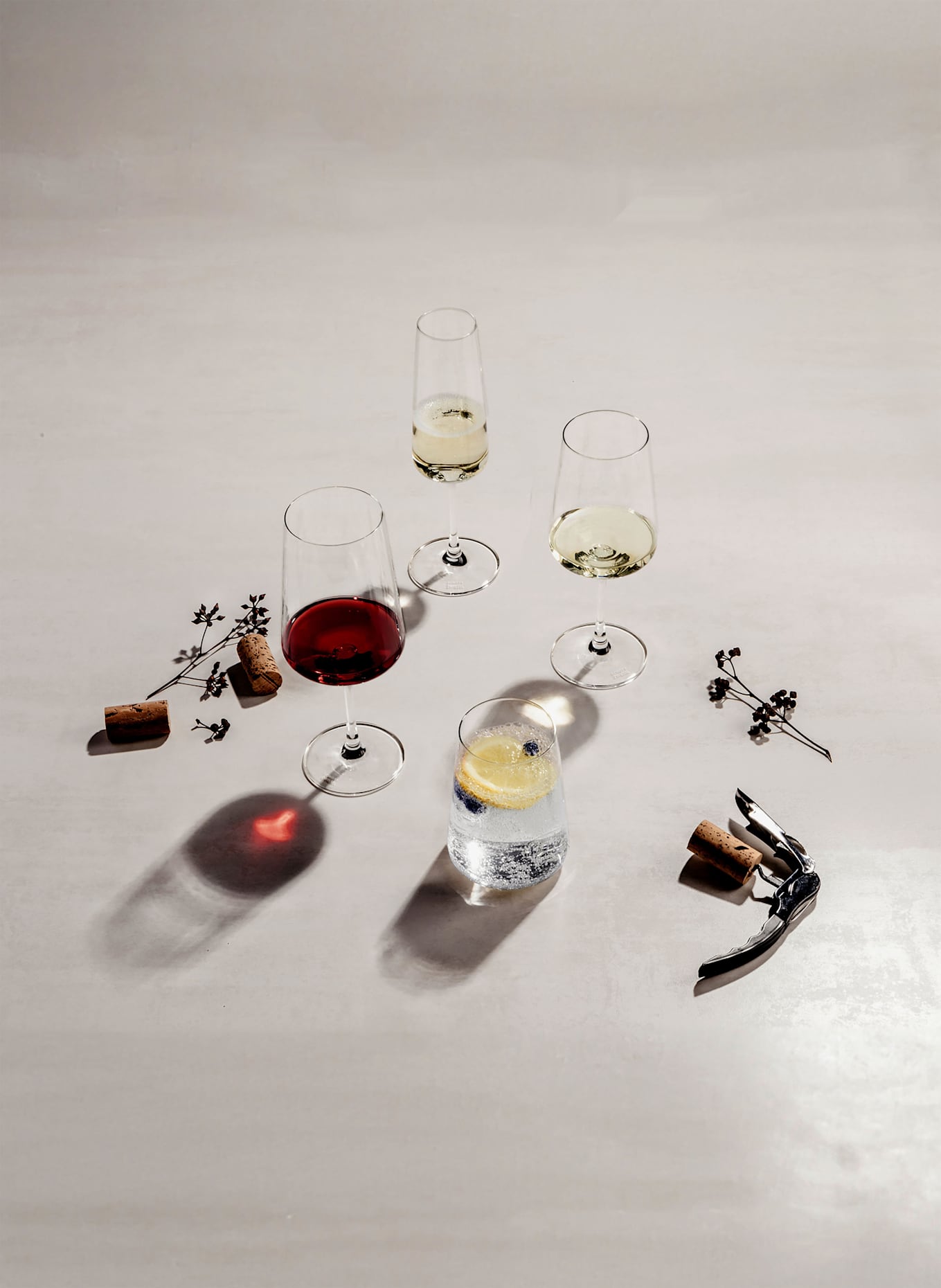SCHOTT ZWIESEL Kieliszki do szampana MIOVINO, 4 szt.: BIAŁY