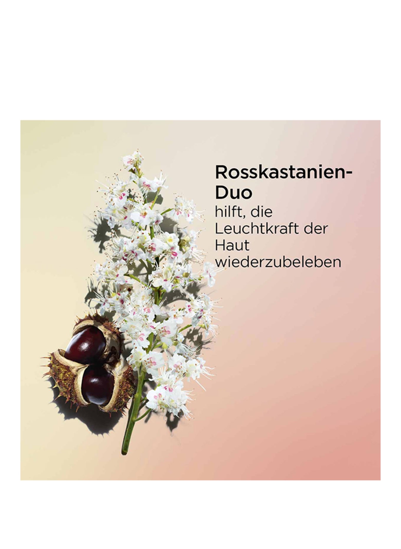 CLARINS NUTRI-LUMIÈRE JOUR