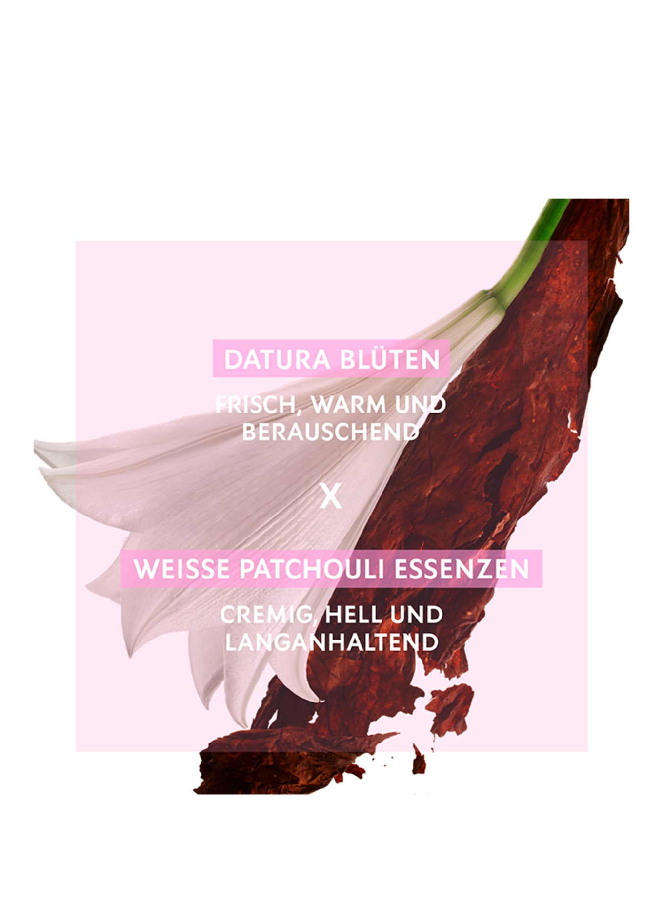 YVES SAINT LAURENT BEAUTÉ MON PARIS