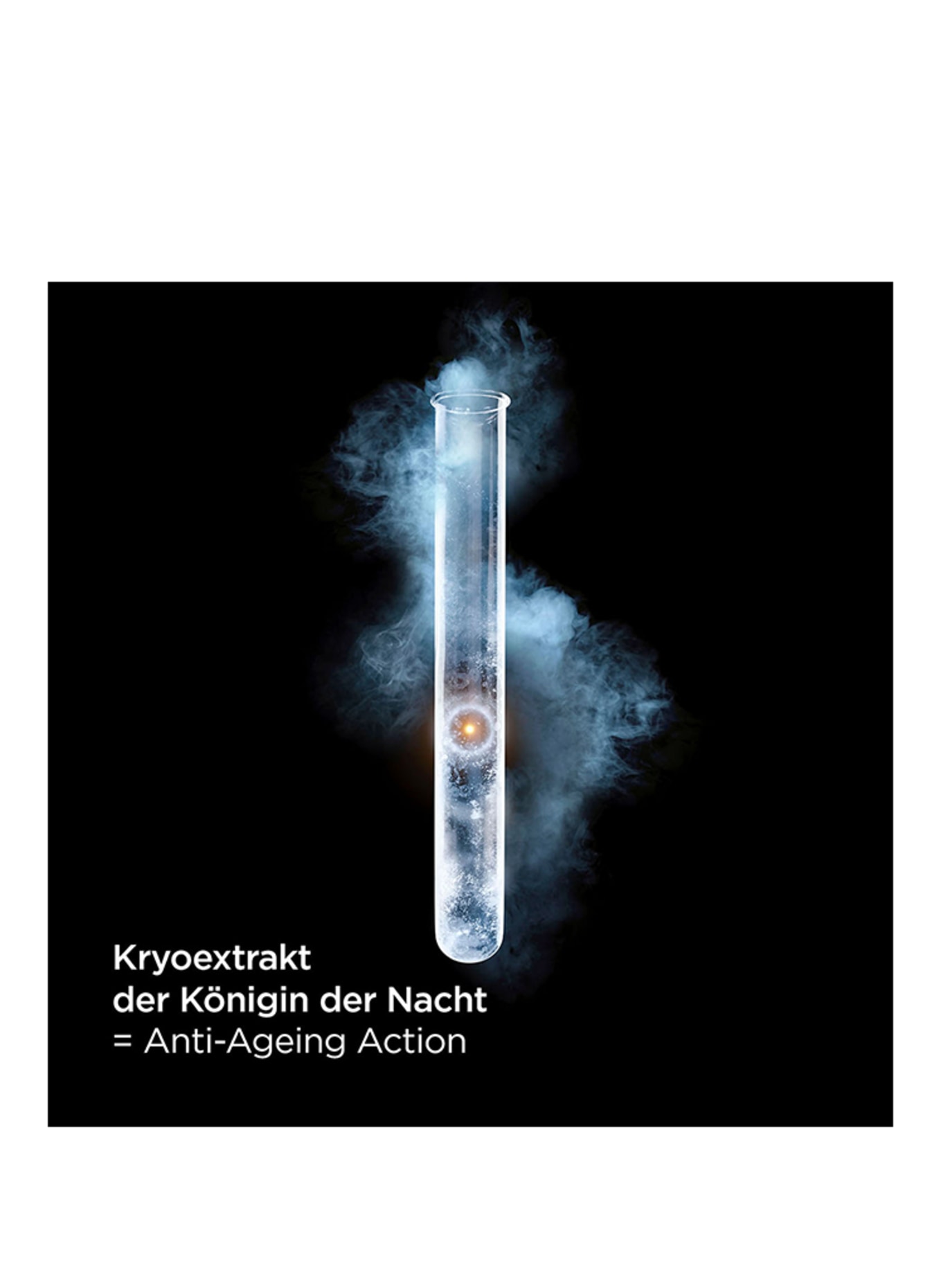 CLARINS PRÉCIEUSE LA CRÈME RICHE