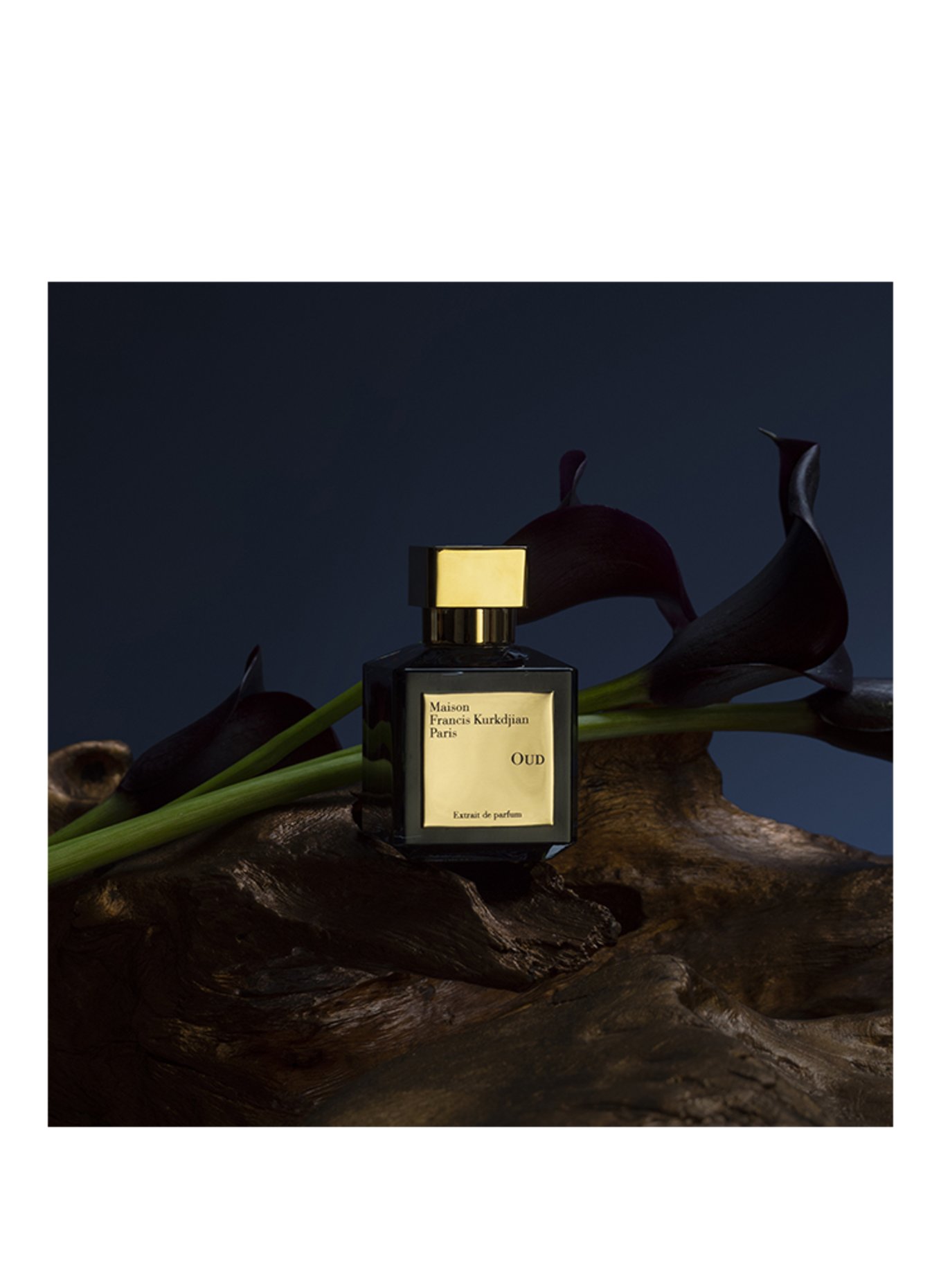 Maison Francis Kurkdjian OUD
