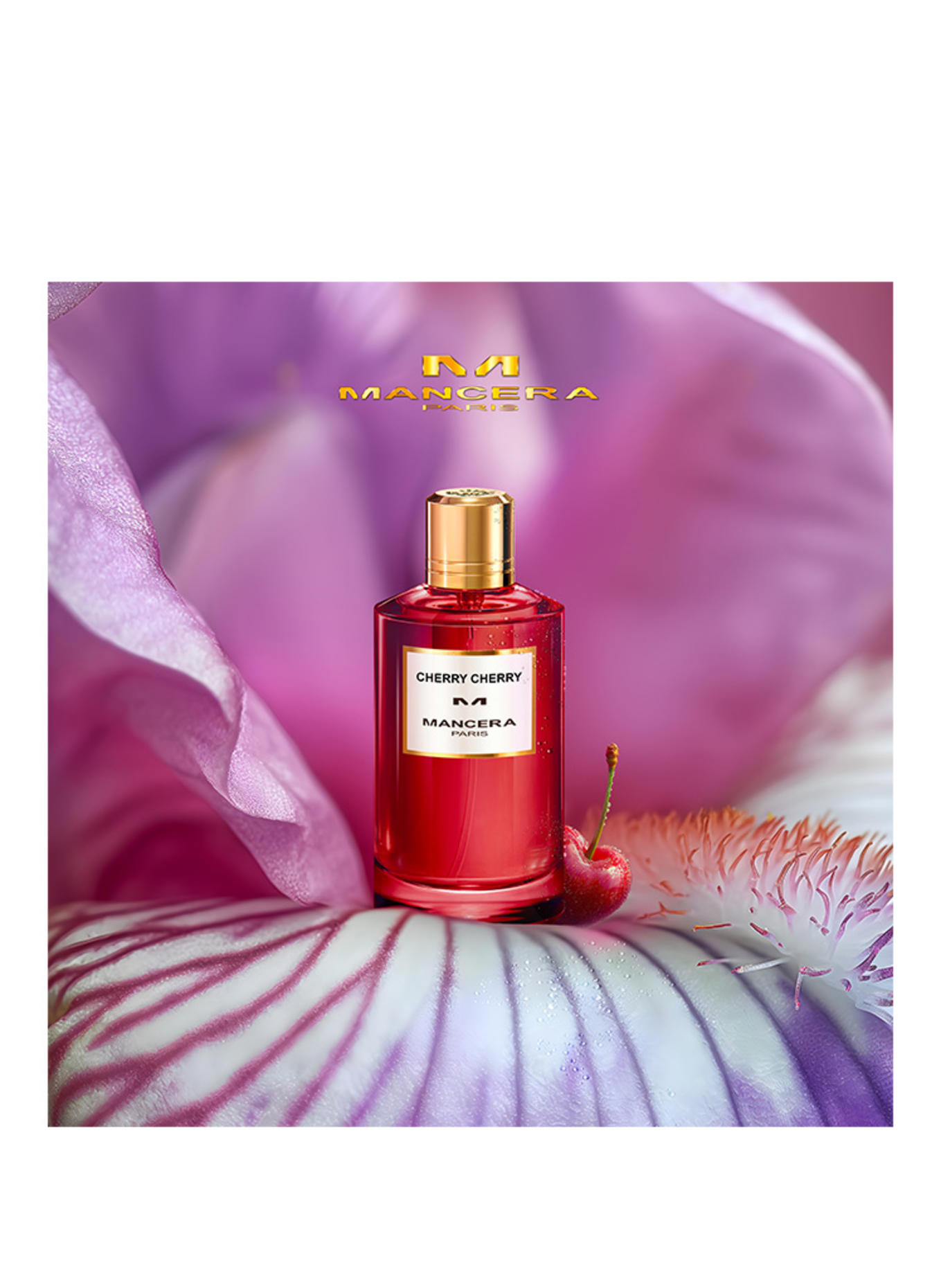 MANCERA CHERRY CHERRY