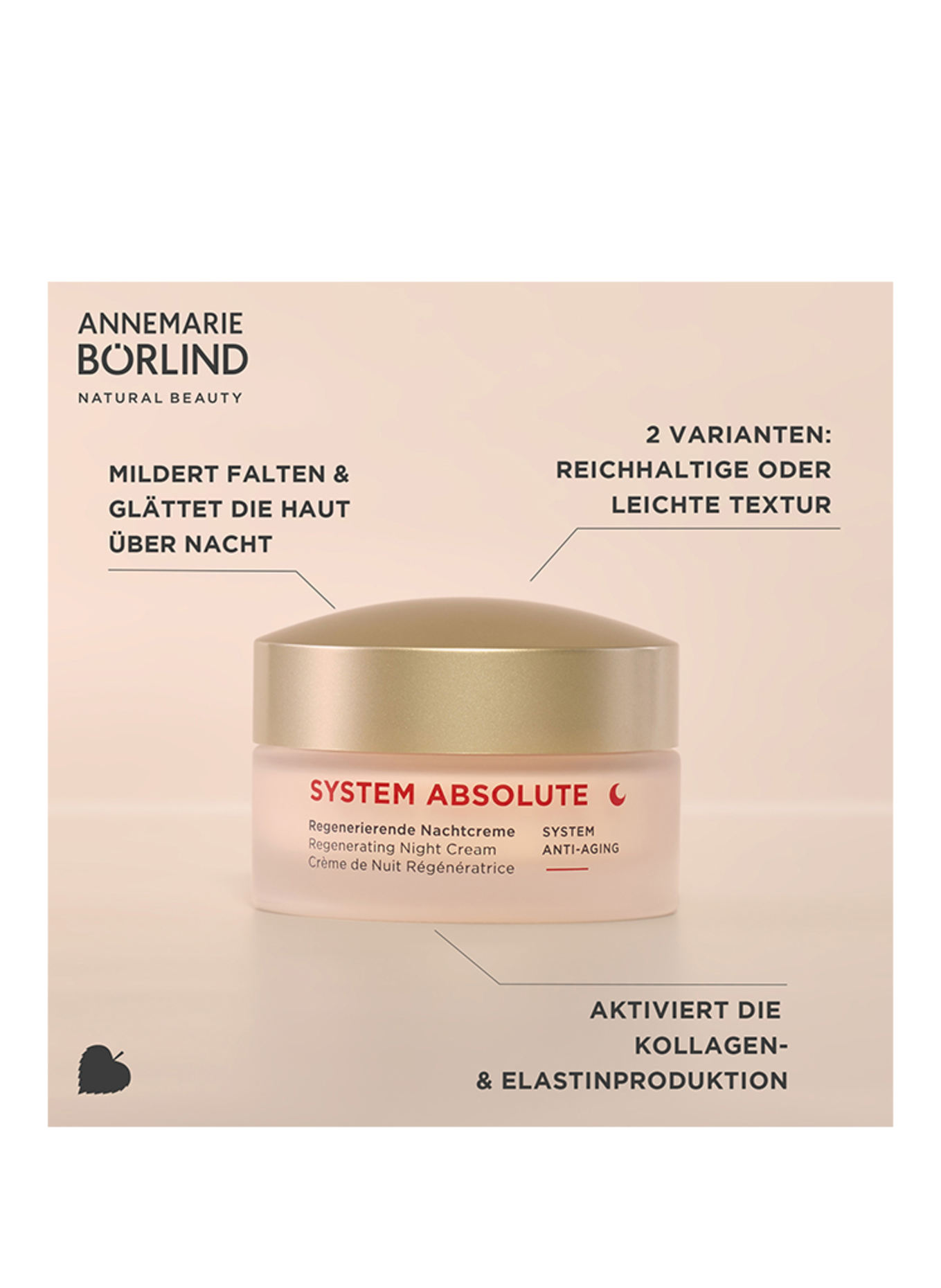 ANNEMARIE BÖRLIND SYSTEM ABSOLUTE