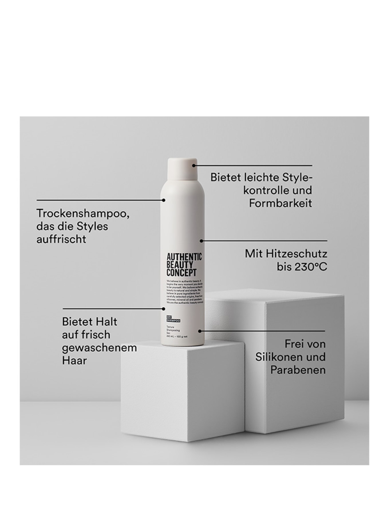 AUTHENTIC BEAUTY CONCEPT DRY SHAMPOO
