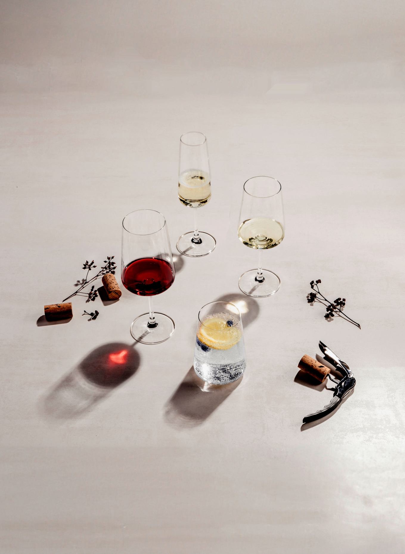 SCHOTT ZWIESEL Kieliszki do wina MIOVINO, 4 szt.: BIAŁY