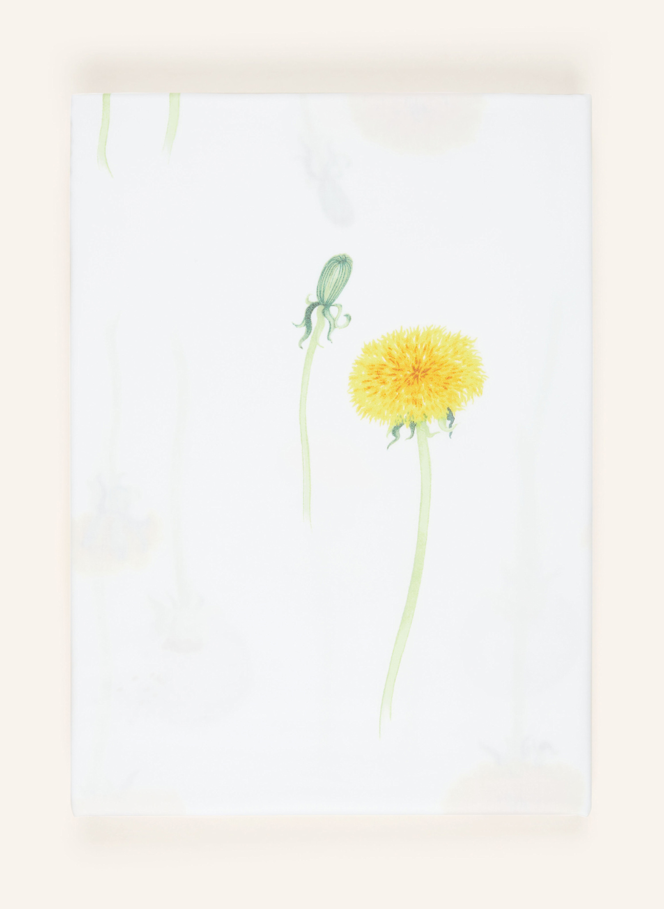 Christian Fischbacher Bettwäsche PUSTEBLUME: WEISS / GELB / HELLGRÜN