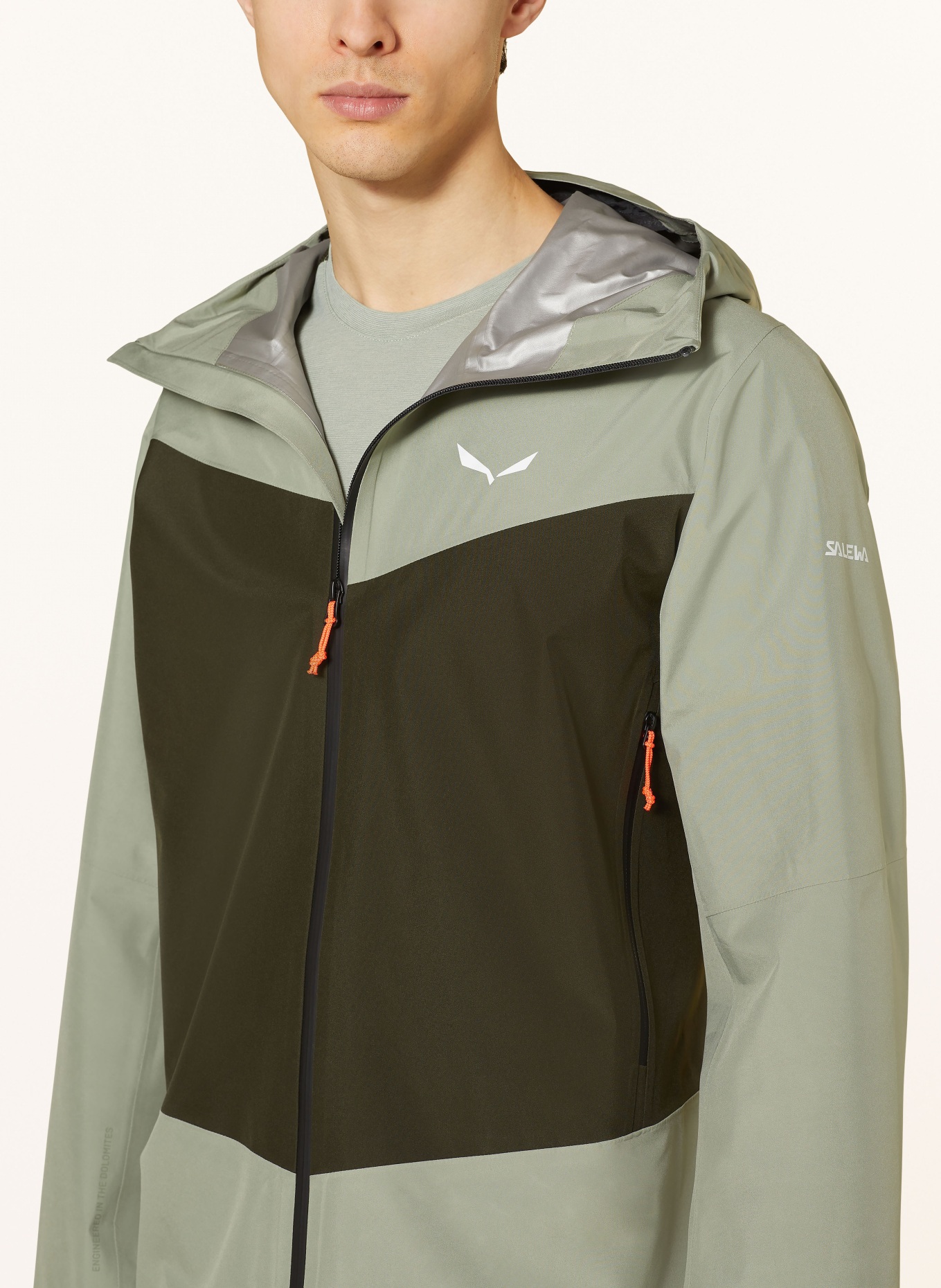 SALEWA Outdoor jacket PUEZ GORE-TEX PACLITE®, Color: 5282 dark olive (Image 5)