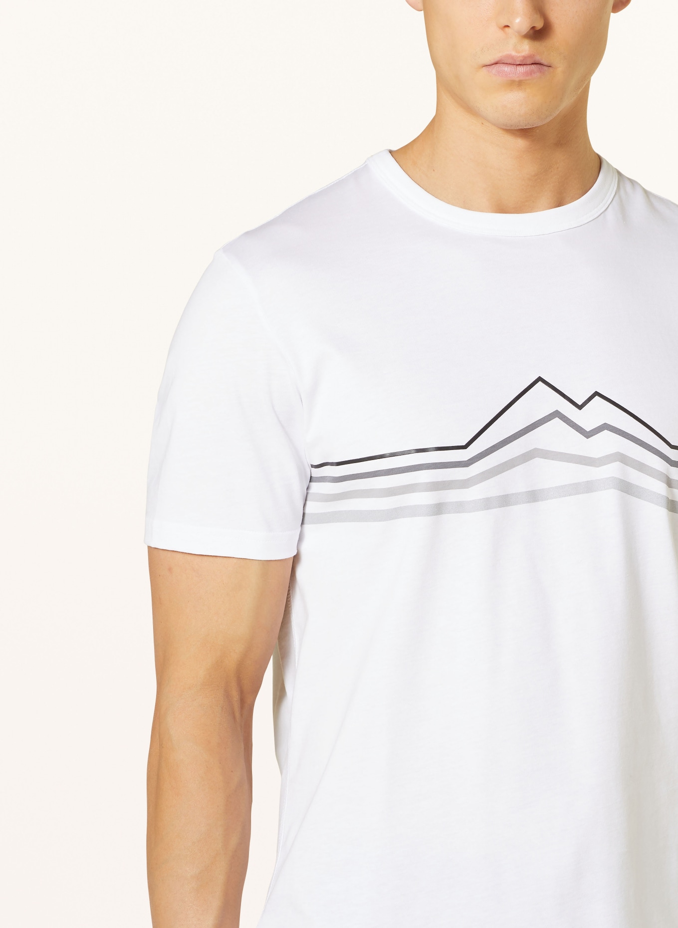 FIRE+ICE T-shirt ADO, Color: WHITE/ GRAY (Image 4)