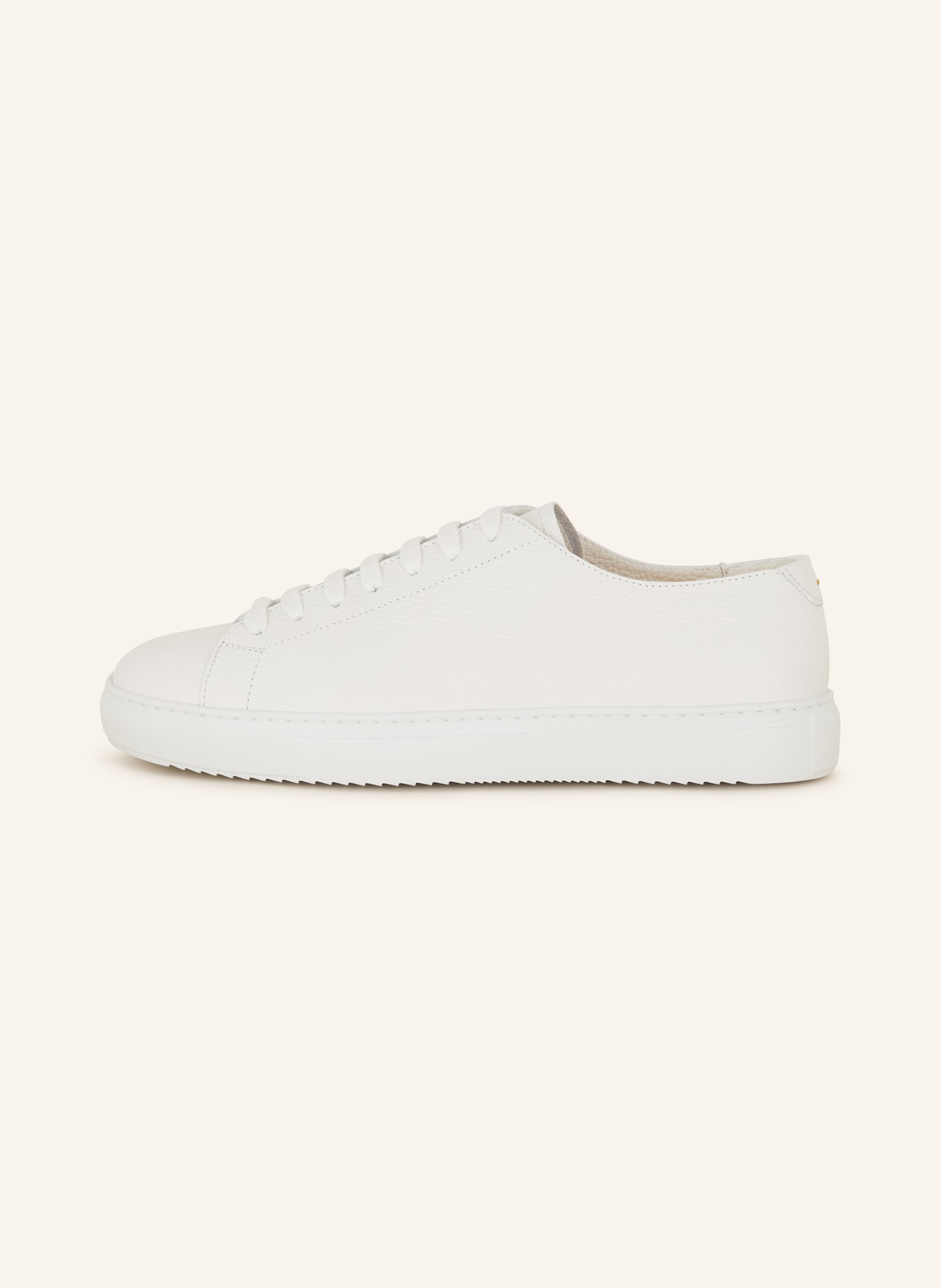 DOUCAL'S Sneakers, Color: WHITE (Image 4)