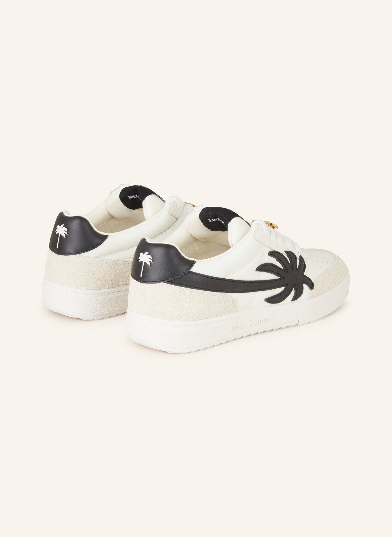 Palm Angels Sneakers UNIVERSITY, Color: WHITE/ CREAM/ BLACK (Image 2)
