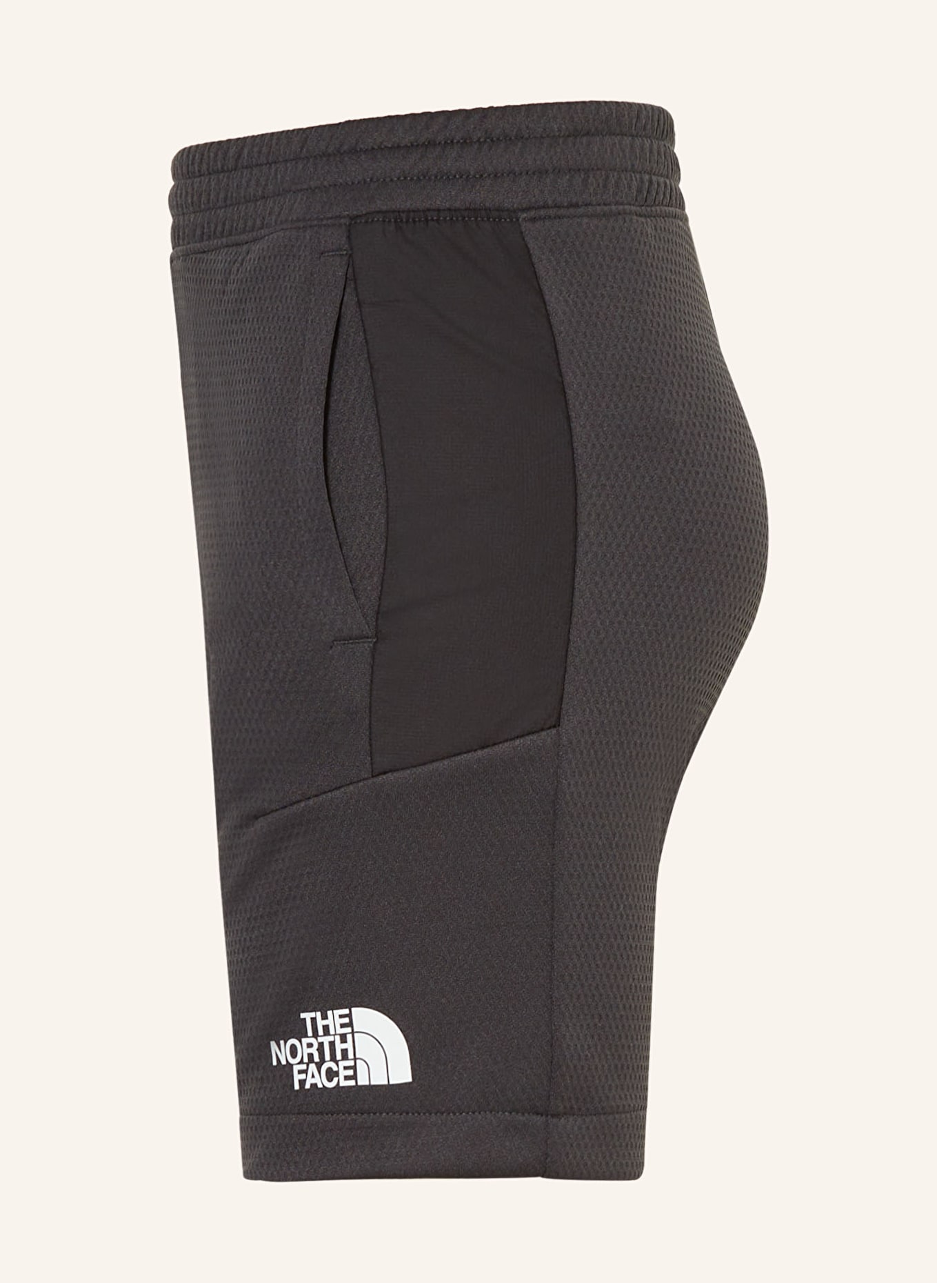 THE NORTH FACE Shorts MOUNTAIN ATHLETICS, Farbe: DUNKELGRAU/ SCHWARZ (Bild 4)