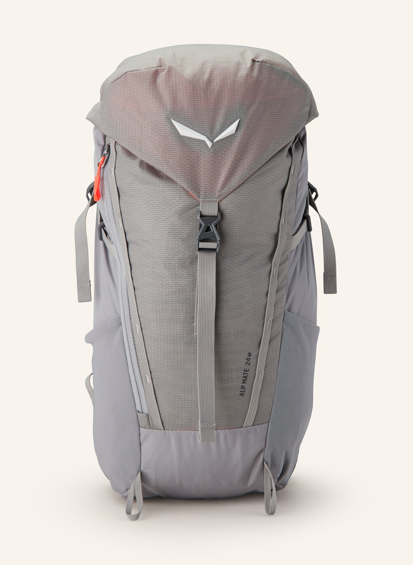 SALEWA Backpack ALP MATE 24 l, Color: LIGHT GRAY (Image 1)