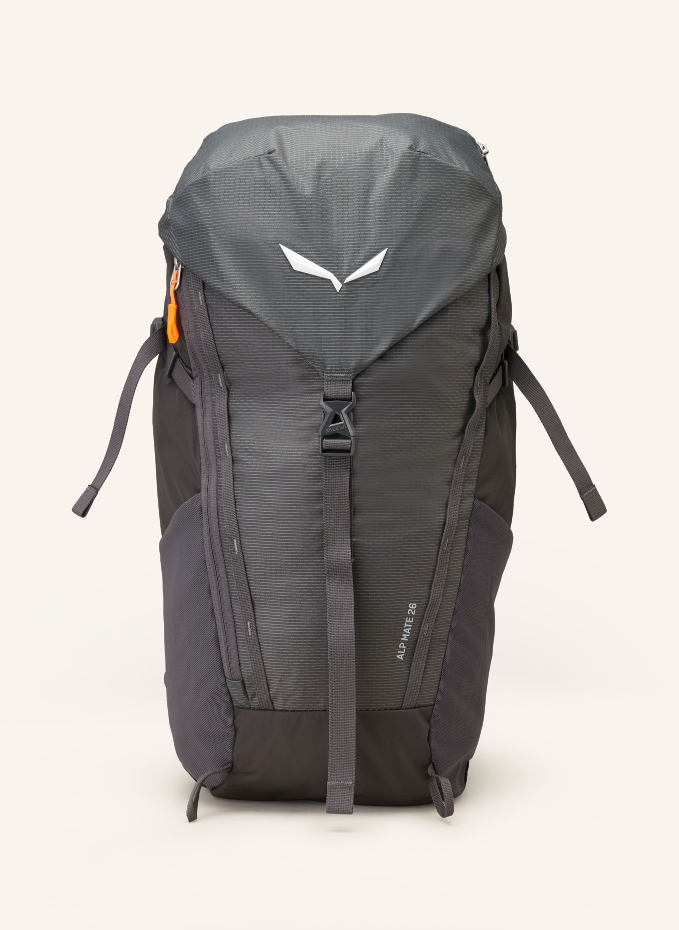 SALEWA Backpack ALP MATE 26 l, Color: DARK GRAY (Image 1)