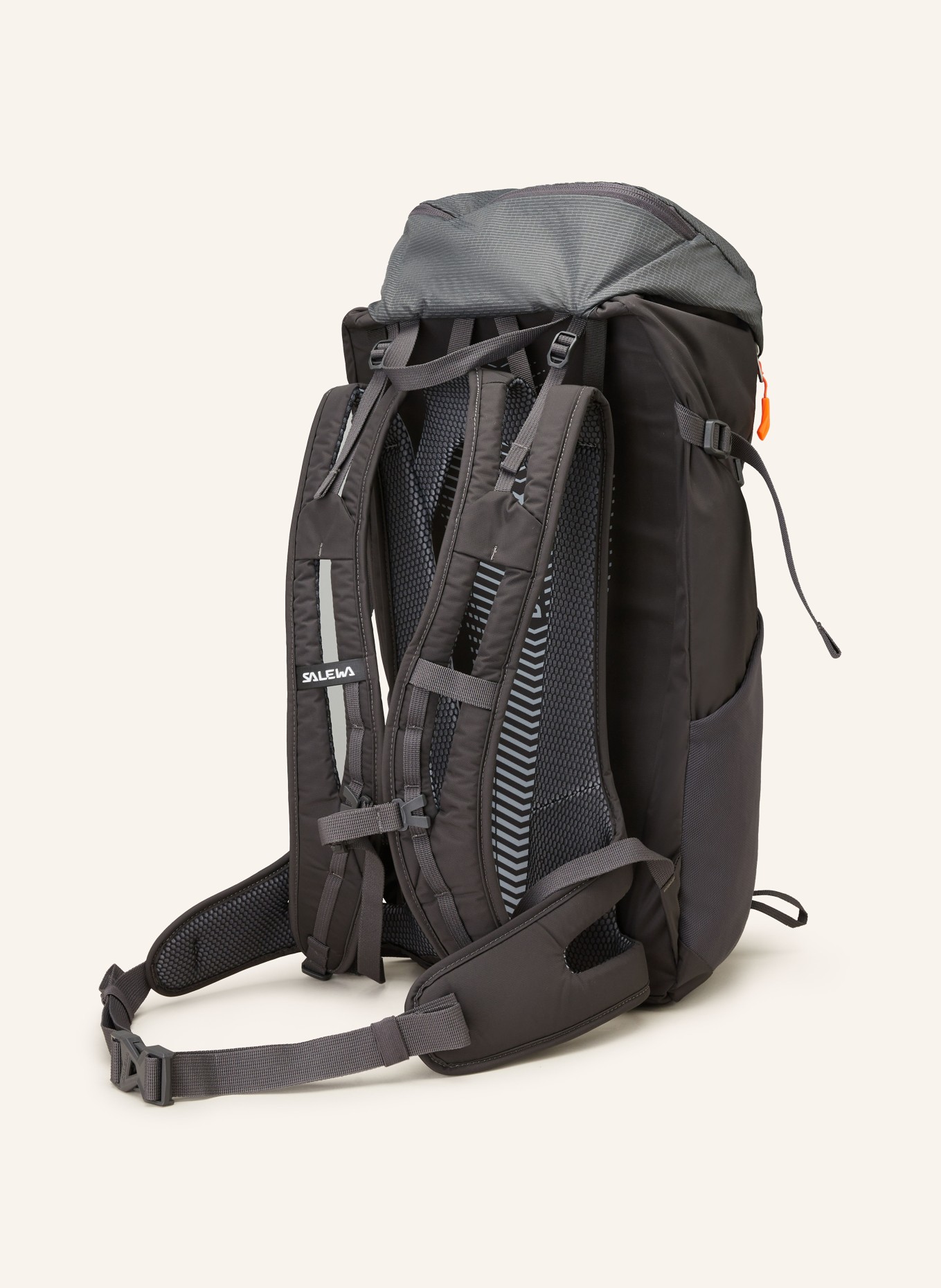 SALEWA Backpack ALP MATE 26 l, Color: DARK GRAY (Image 2)