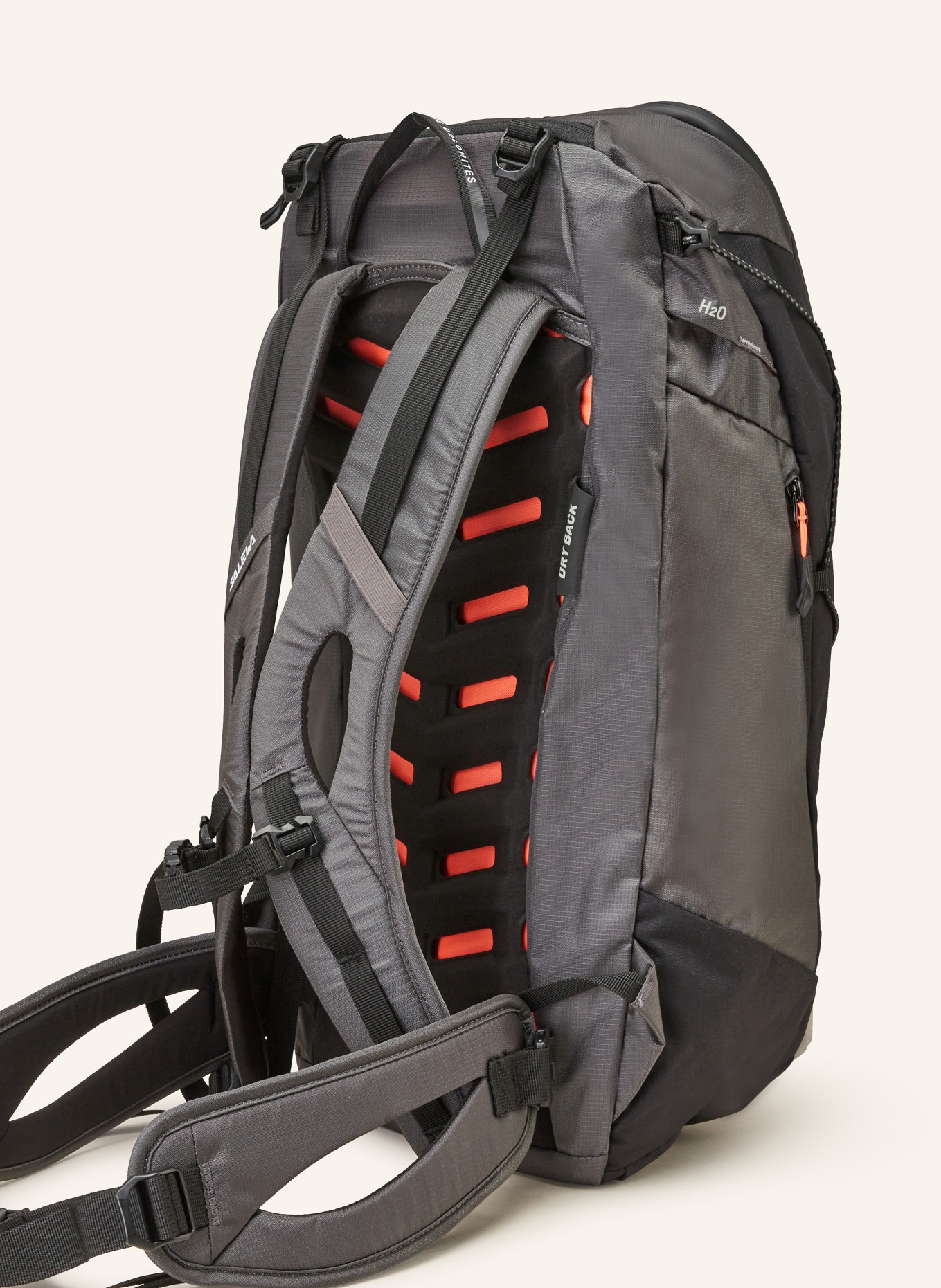 SALEWA Backpack PUEZ 25 l, Color: BLACK/ GRAY (Image 2)