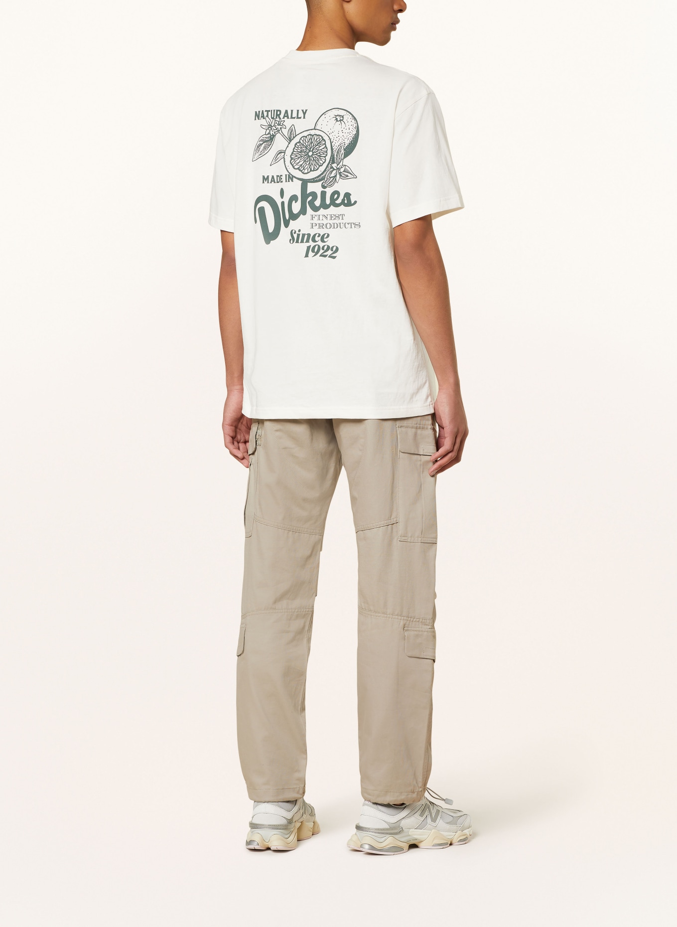 Dickies T-shirt RAVEN, Color: ECRU/ KHAKI (Image 2)