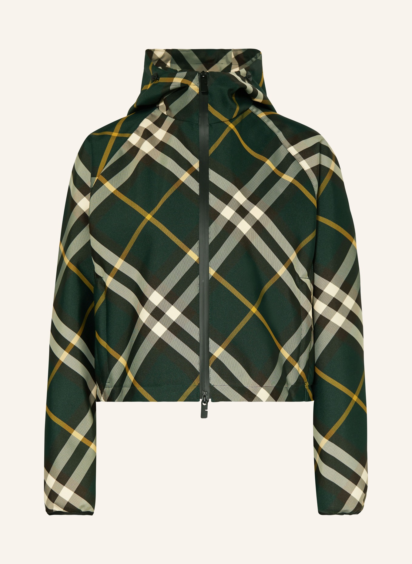 BURBERRY Jacket, Color: DARK GREEN/ DARK BROWN/ CREAM (Image 1)