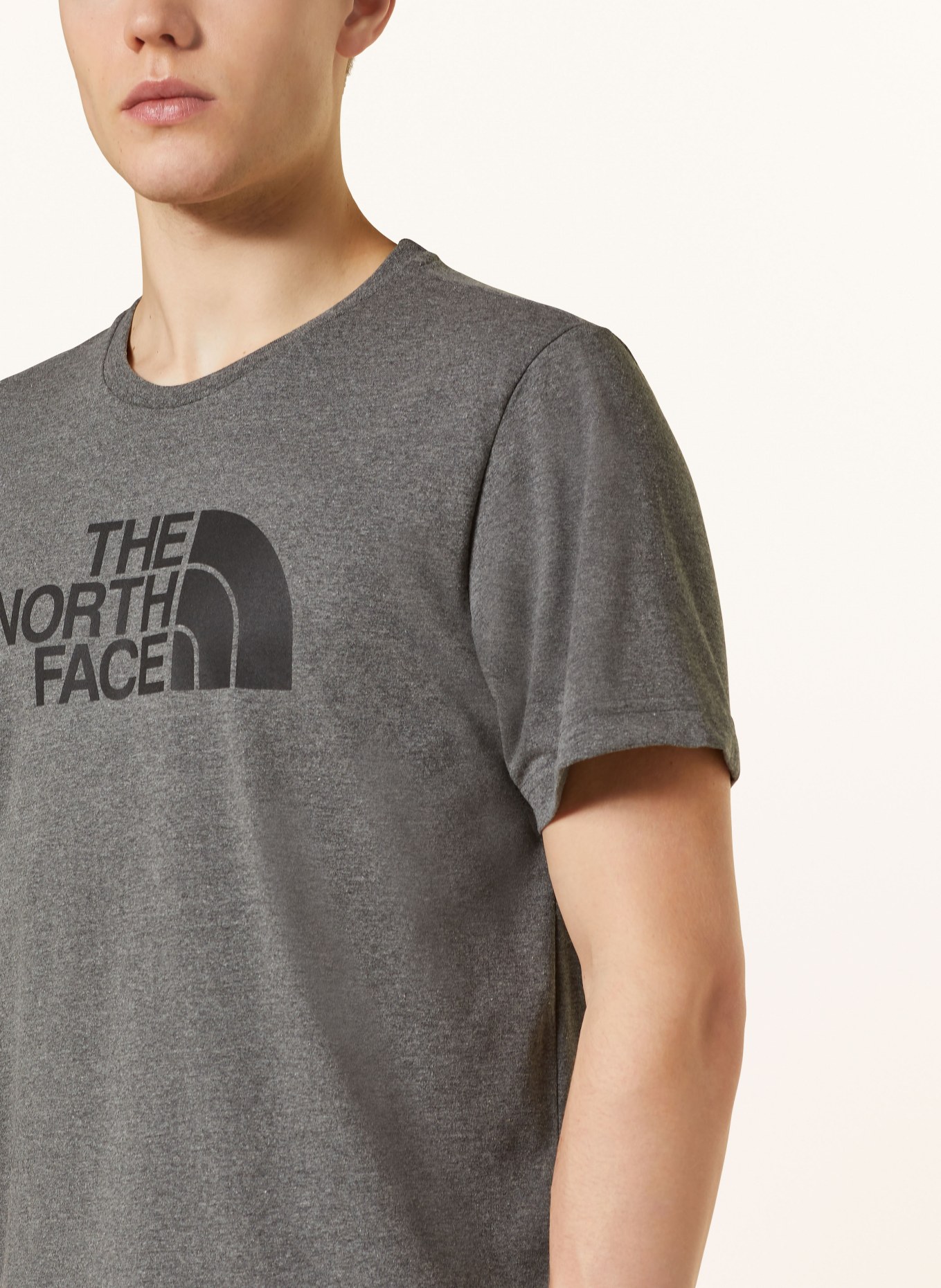THE NORTH FACE T-Shirt EASY TEE, Farbe: DUNKELGRAU (Bild 4)