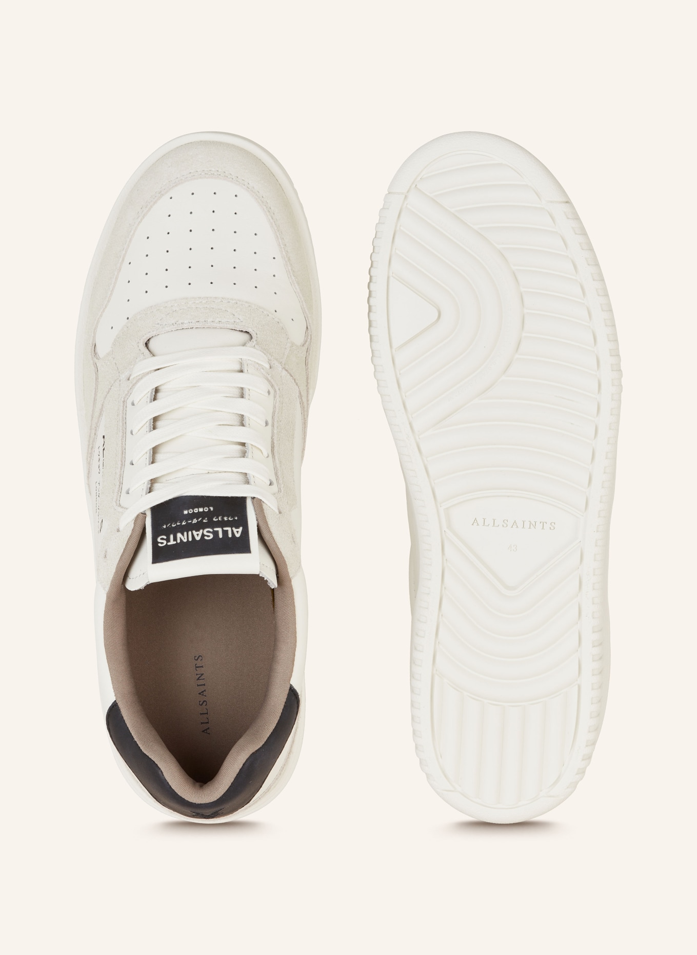ALLSAINTS Sneakers REGAN, Color: WHITE/ LIGHT GRAY/ BLACK (Image 5)