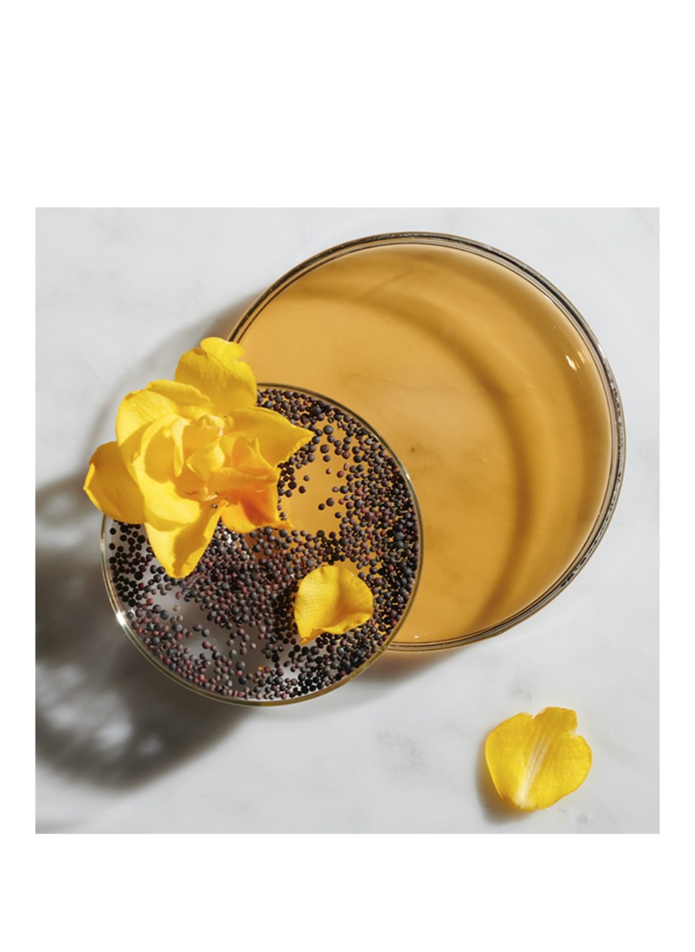 Kiehl's FERULIC BREW FACIAL ESSENCE