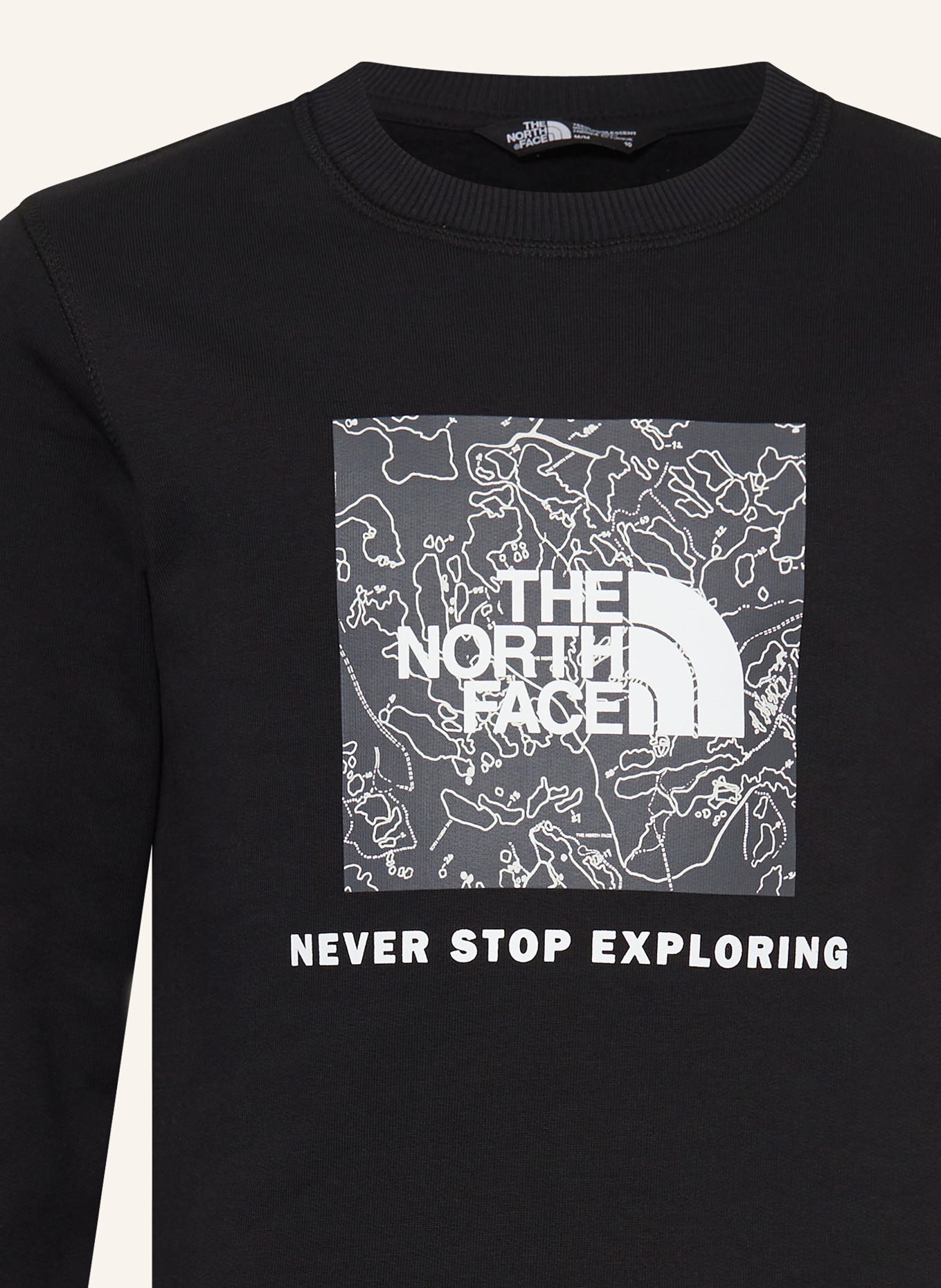THE NORTH FACE Sweatshirt TEEN REDBOX, Farbe: SCHWARZ (Bild 3)