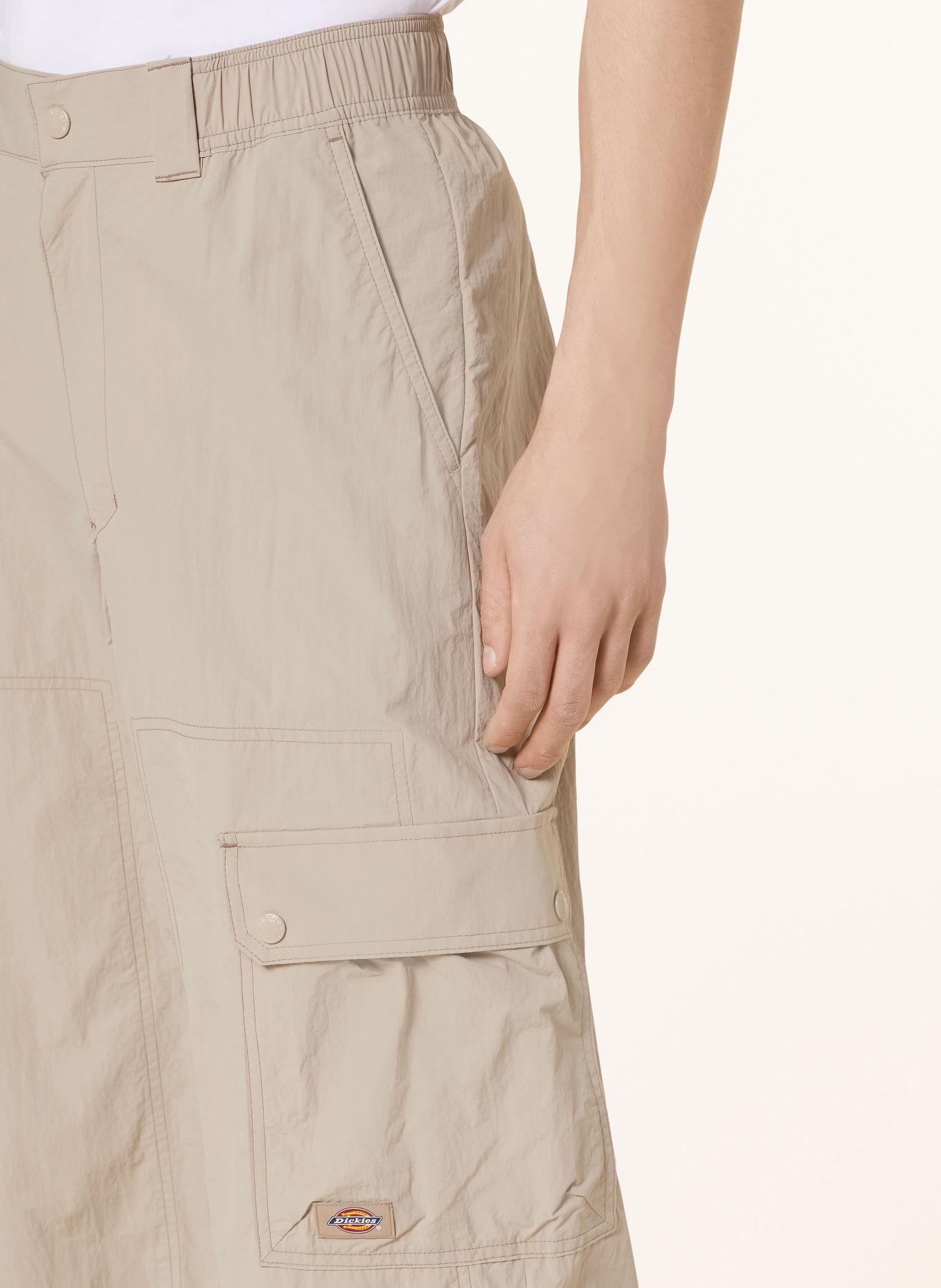 Dickies Cargo pants JACKSON regular fit, Color: BEIGE (Image 5)