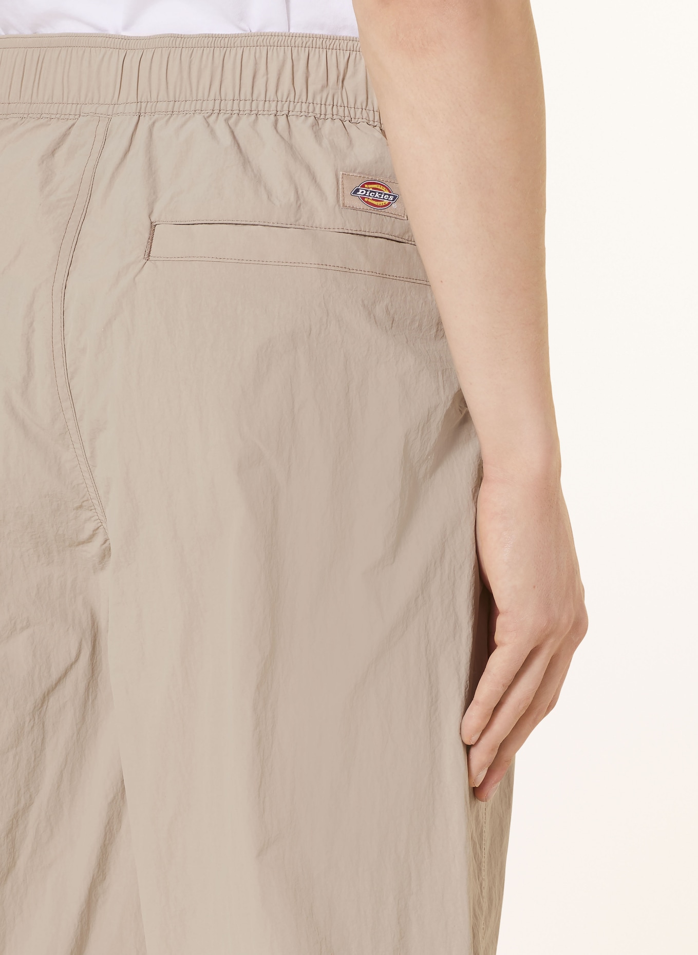 Dickies Cargo pants JACKSON regular fit, Color: BEIGE (Image 6)