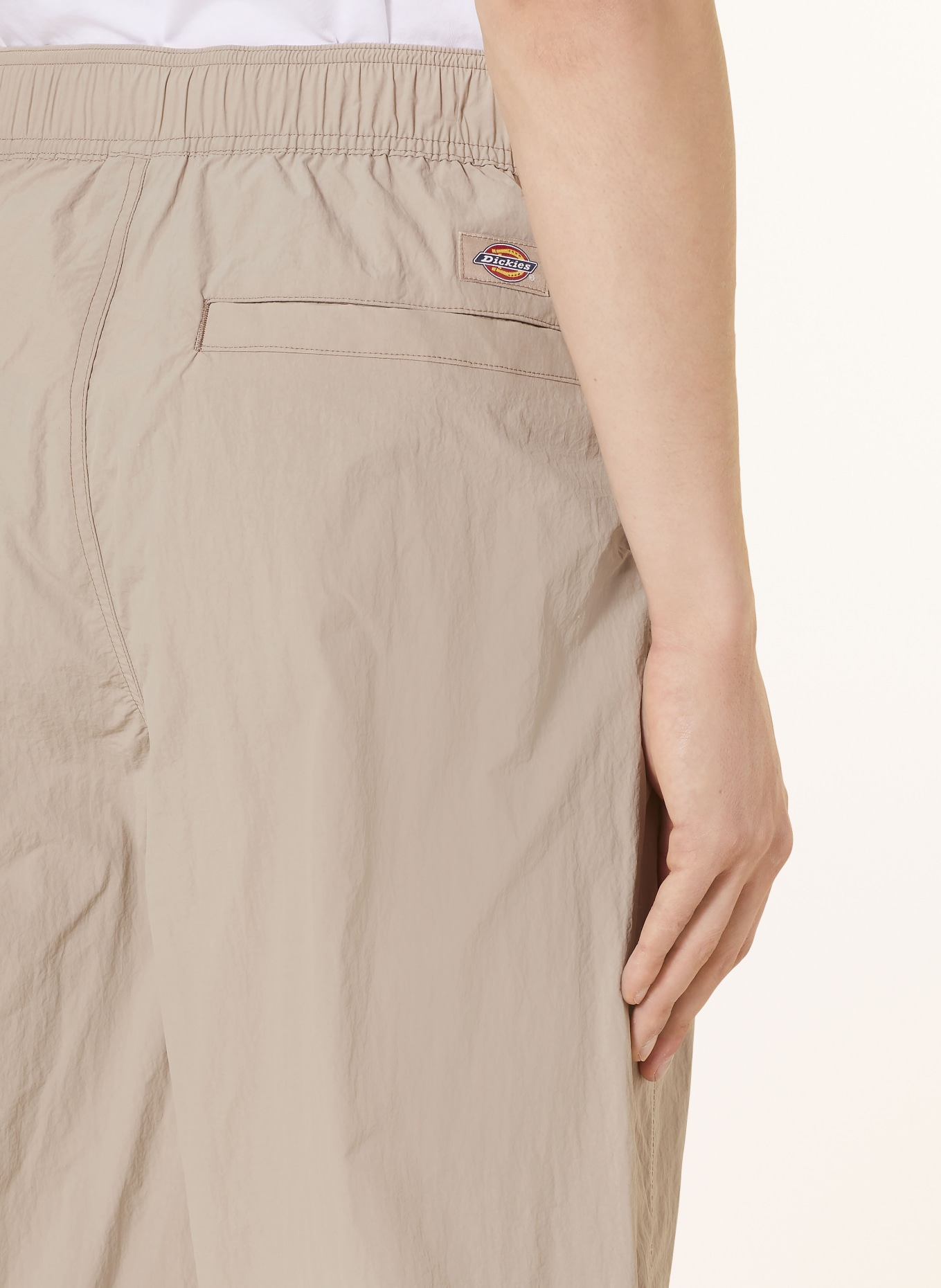 Dickies Cargohose JACKSON Regular Fit, Farbe: BEIGE (Bild 6)