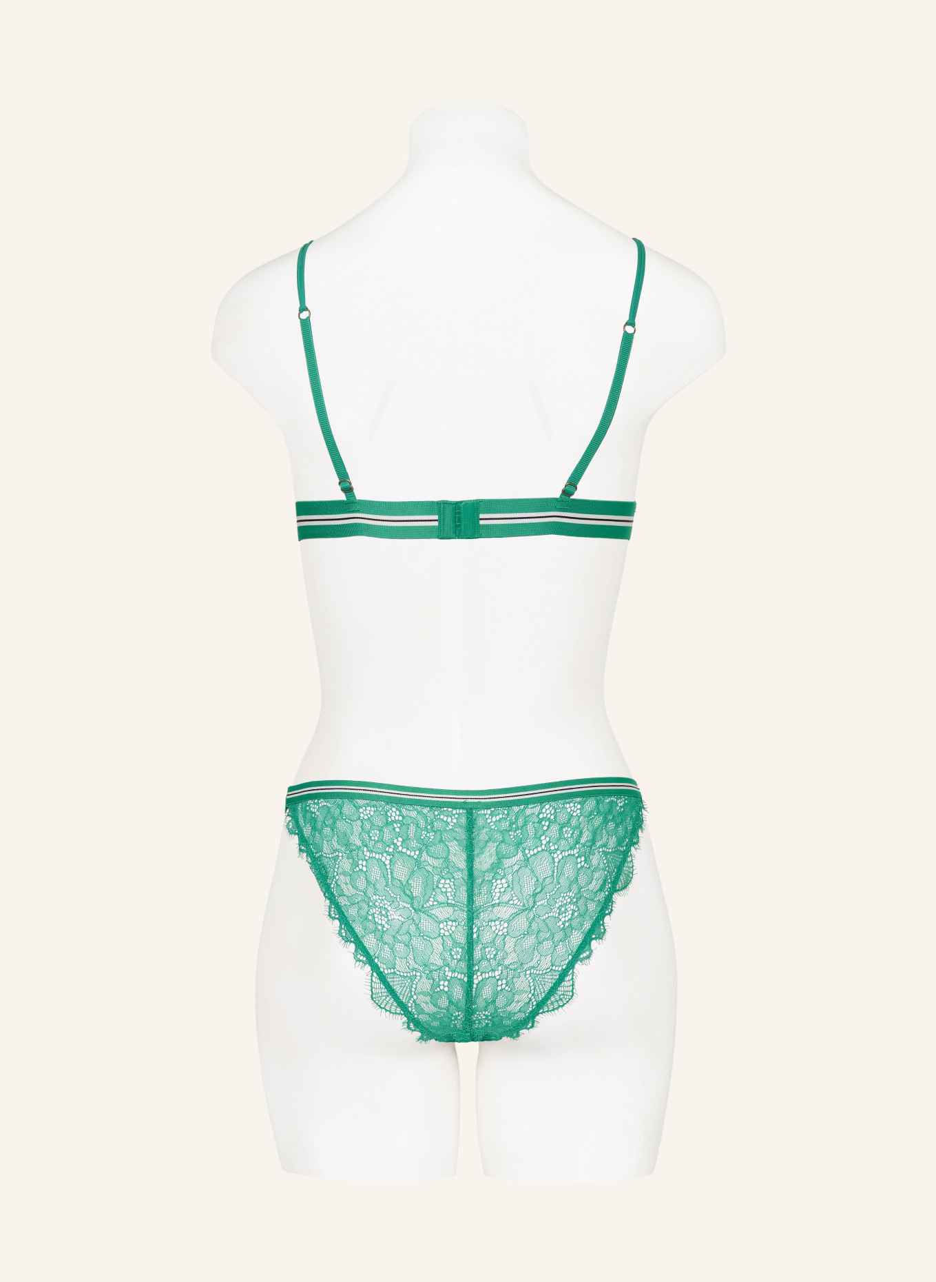 LOVE Stories Brief WILD ROSE, Color: GREEN (Image 3)