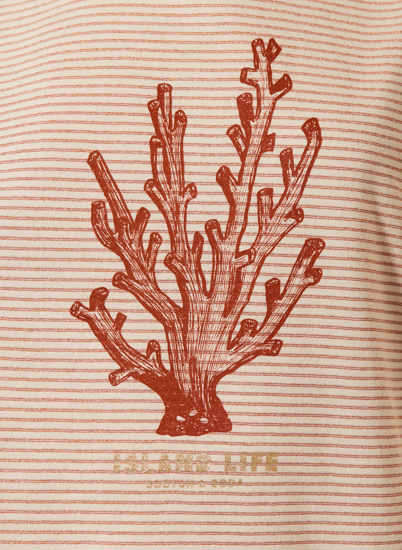 SCOTCH & SODA T-Shirt, Farbe: BEIGE (Bild 3)