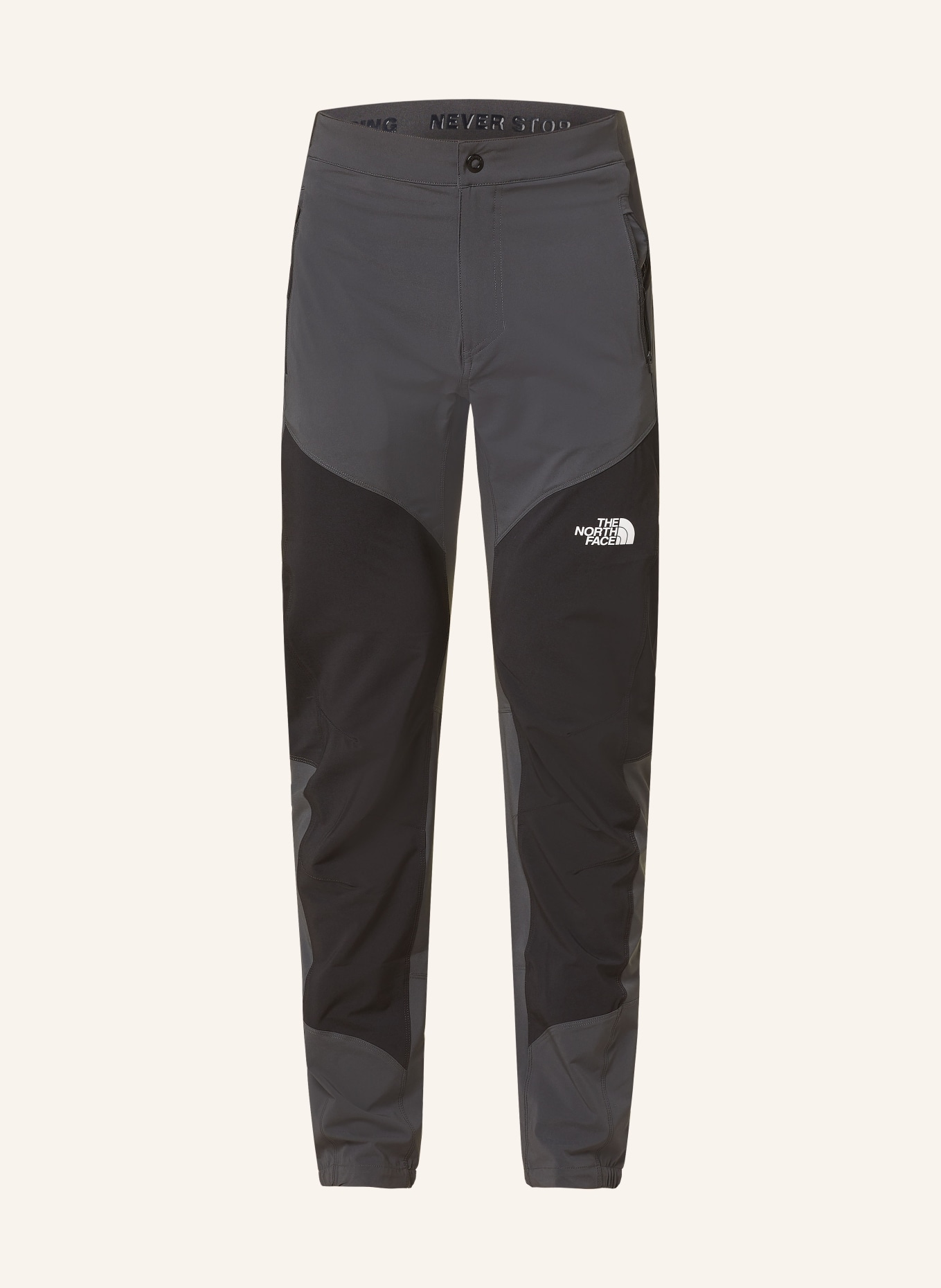 THE NORTH FACE Trekking pants FELIK, Color: GRAY/ BLACK (Image 1)