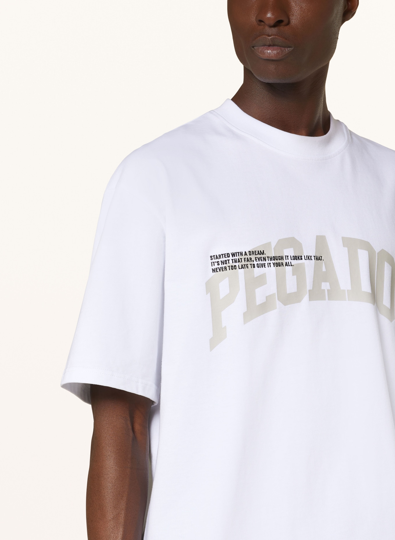 PEGADOR T-shirt GILFORD, Color: WHITE/ GRAY (Image 4)