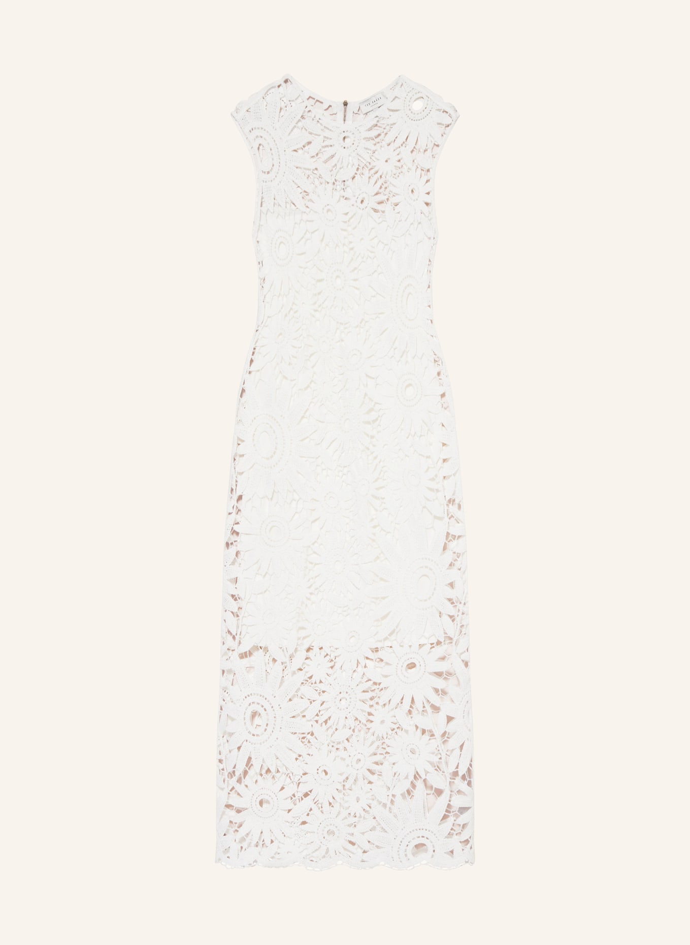 TED BAKER Lace dress CORHA, Color: IVORY IVORY (Image 1)