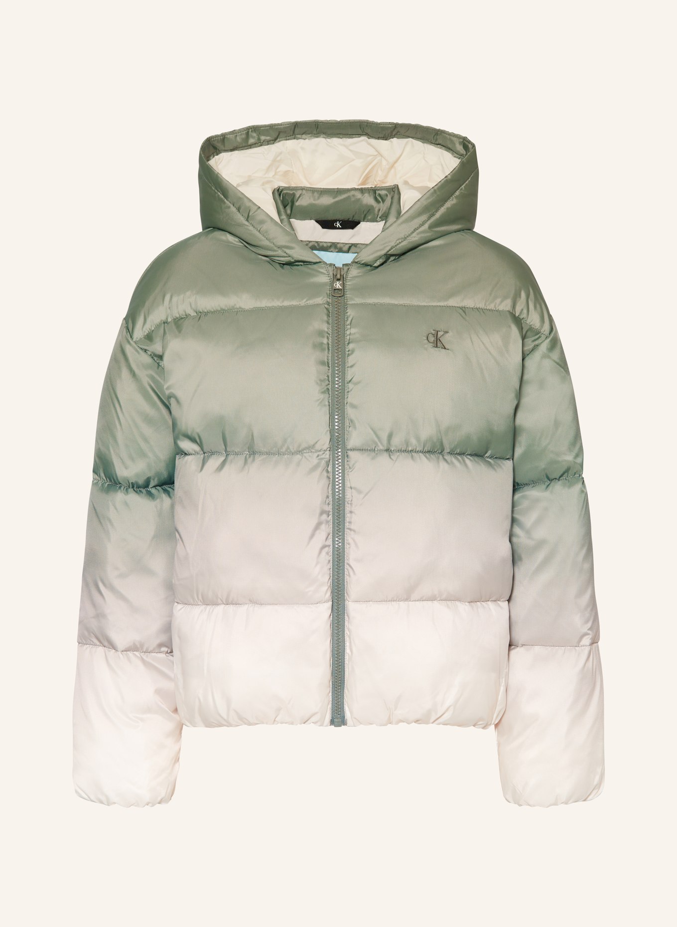 Calvin Klein Steppjacke: CREME / HELLGRÜN / GRÜN