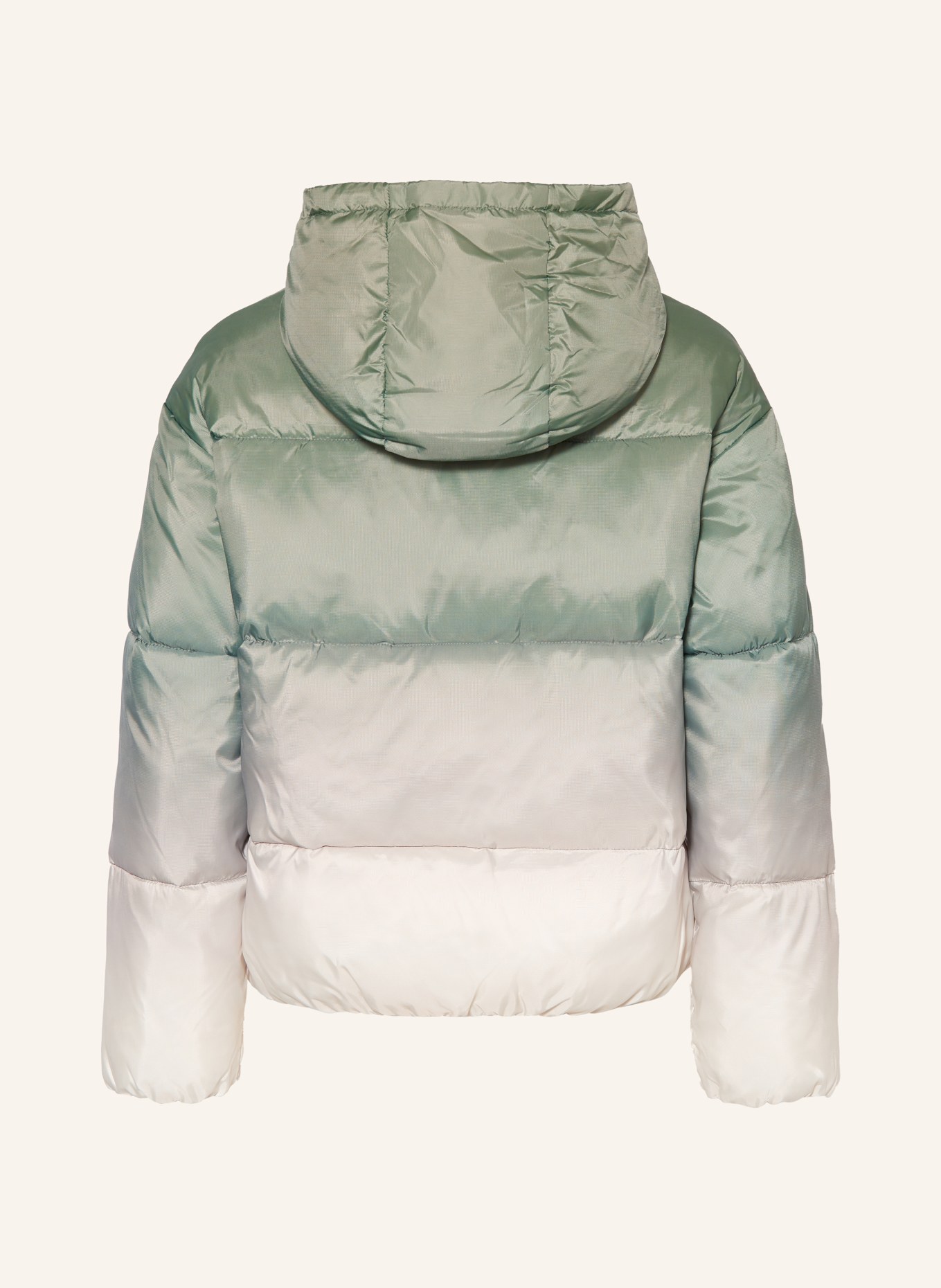 Calvin Klein Steppjacke: CREME / HELLGRÜN / GRÜN