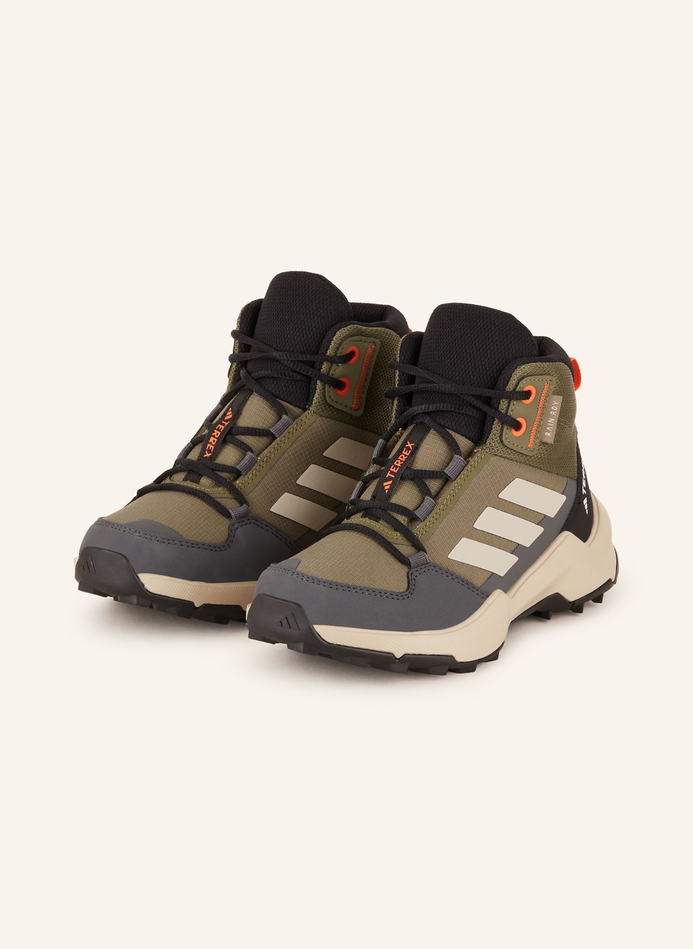 adidas TERREX Trekkingschuhe TERREX AX4R R.RDY MID KIDS