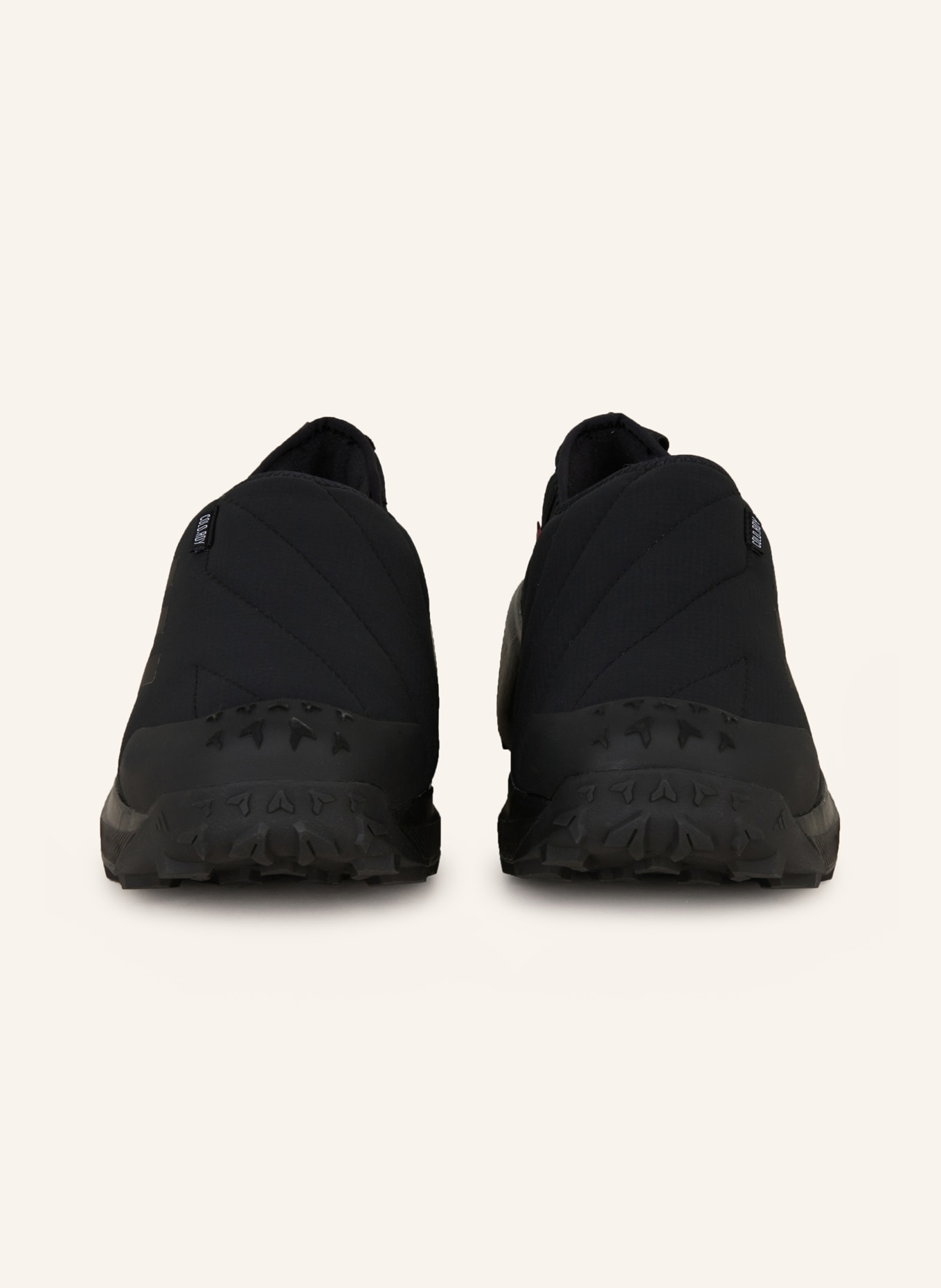 adidas TERREX Trekkingschuhe TERREX WINTER SLIP ON COLD.RDY in schwarz