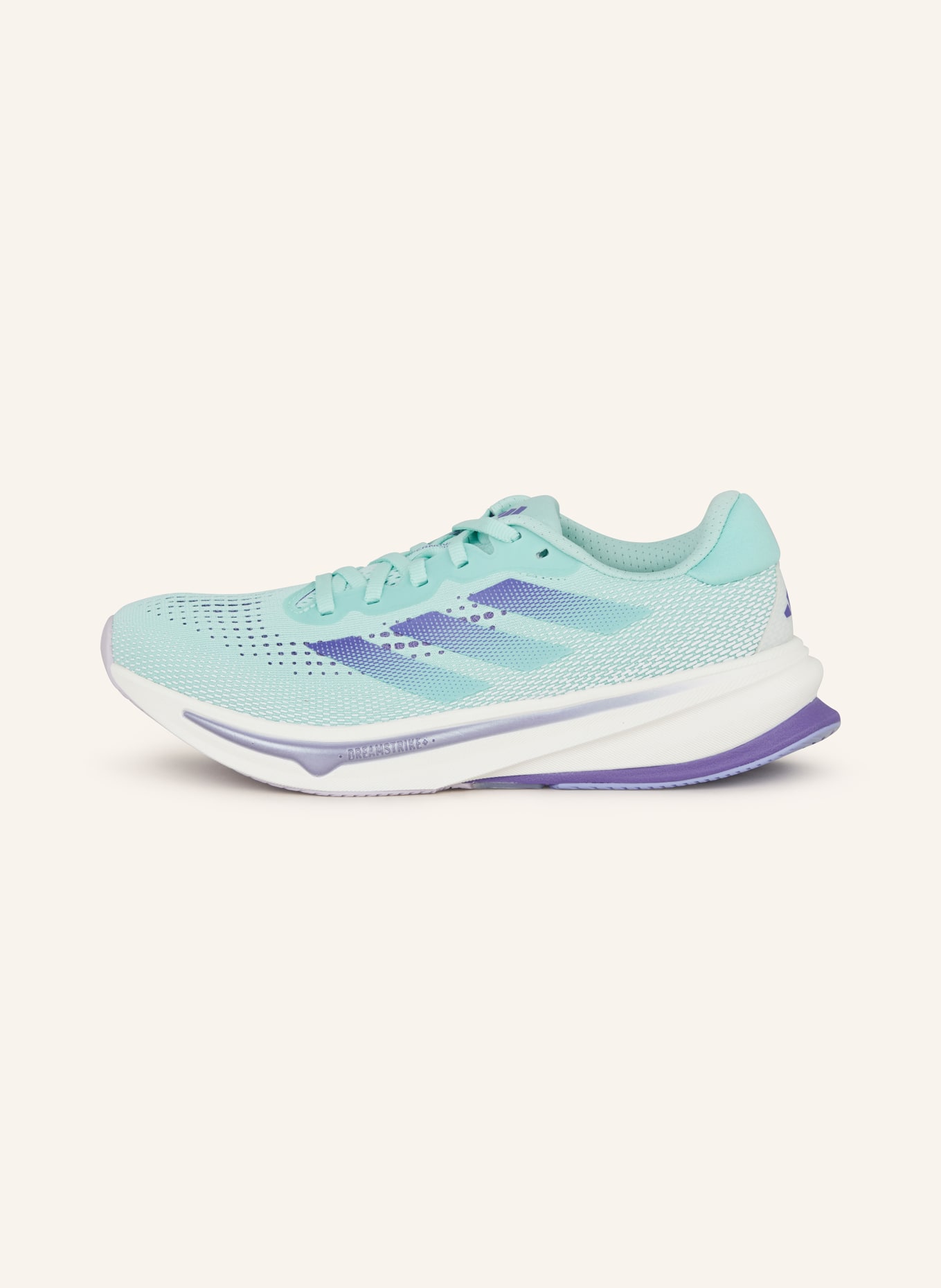 Salomon supernova top